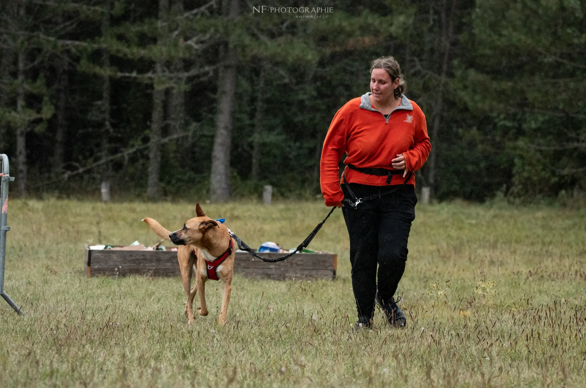 Cani-Parcours - Édition 2024 - Canifun