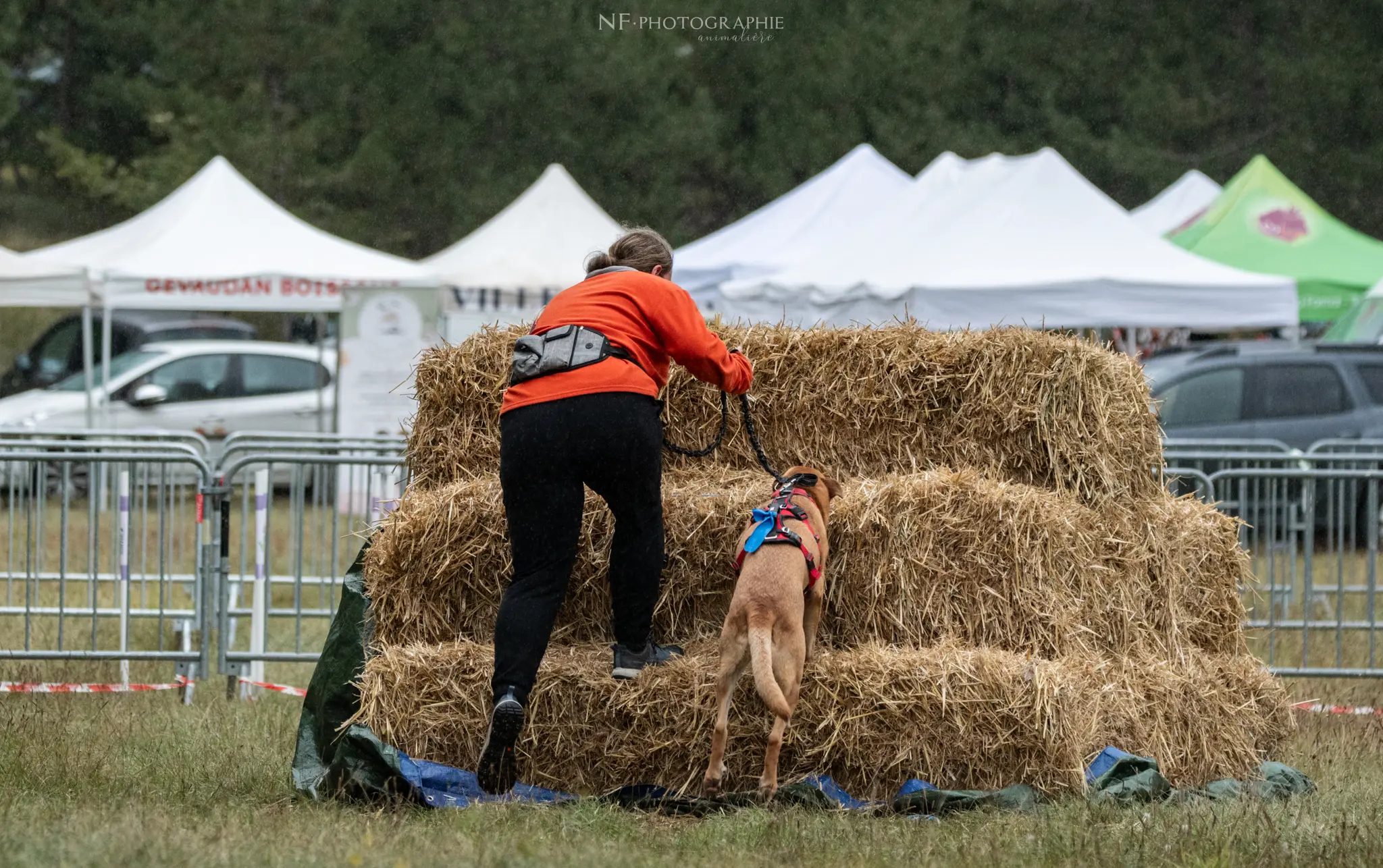 Cani-Parcours - Édition 2024 - Canifun