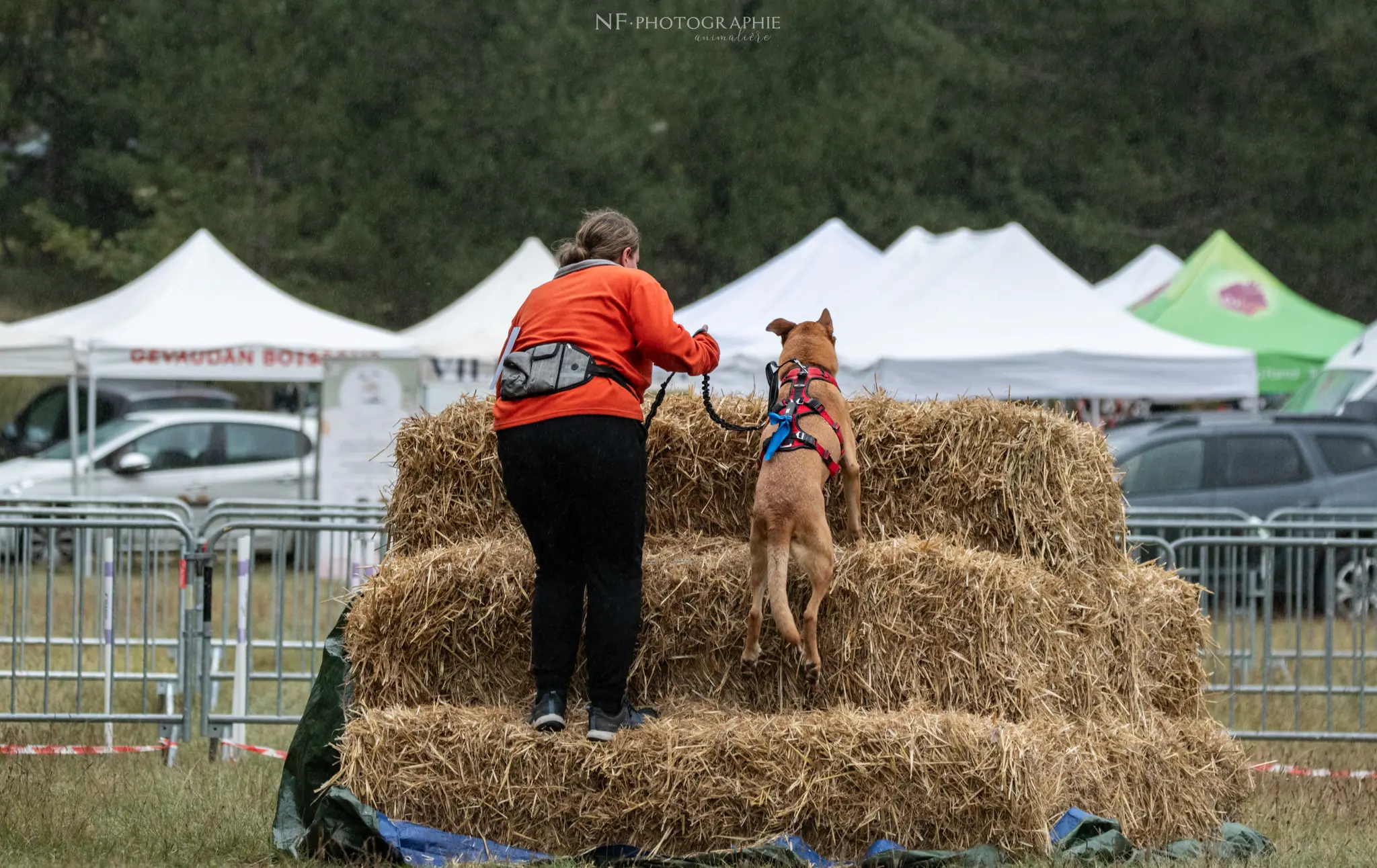 Cani-Parcours - Édition 2024 - Canifun