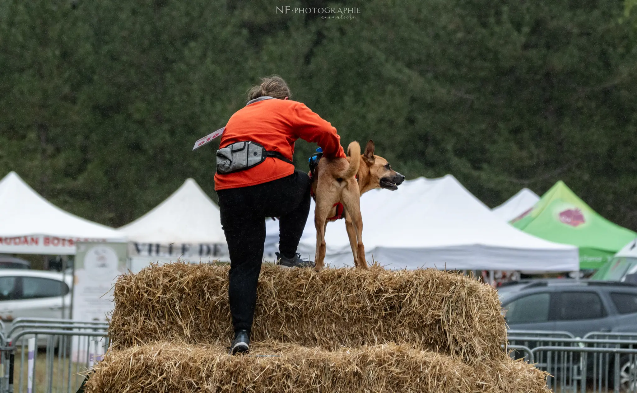 Cani-Parcours - Édition 2024 - Canifun