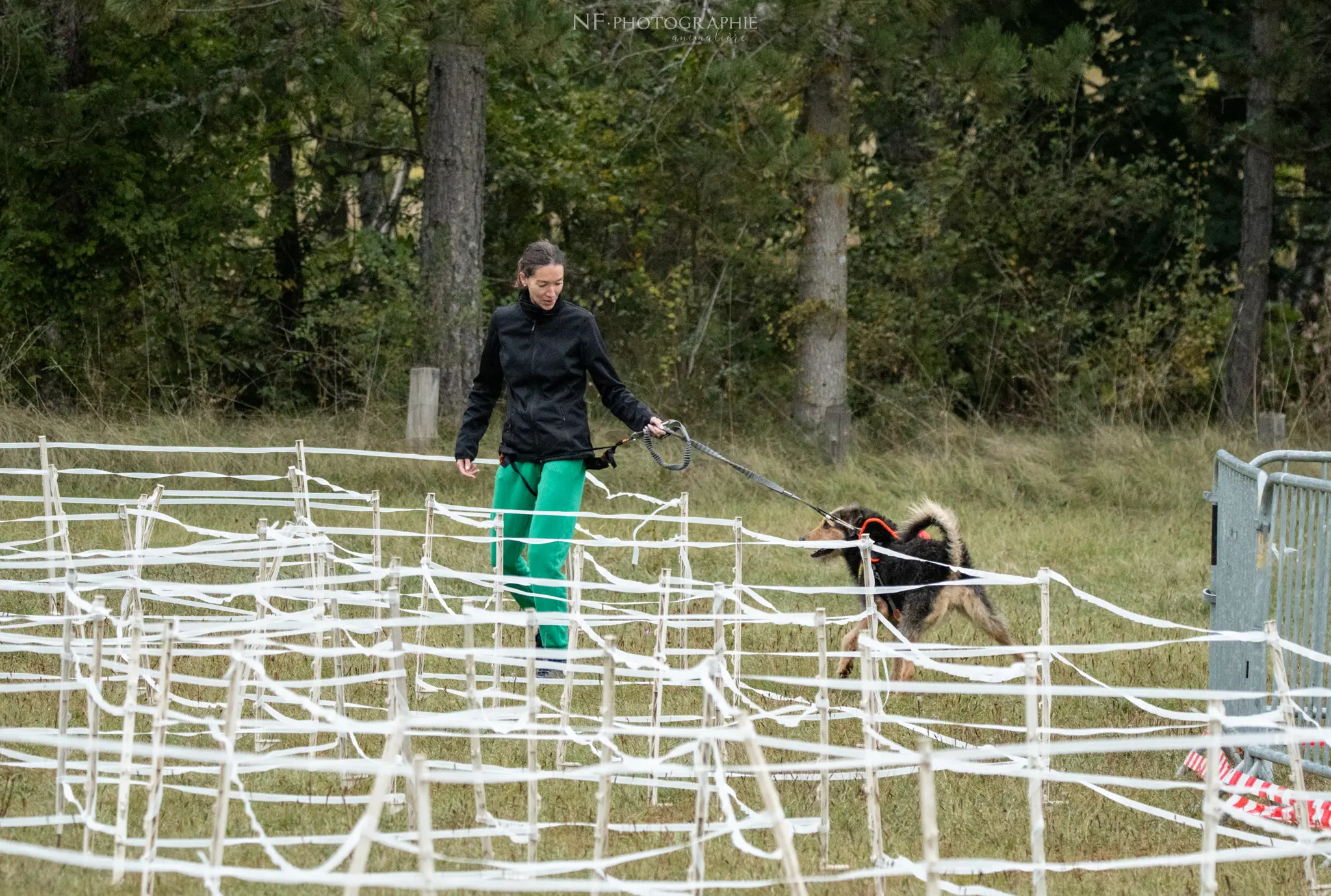 Cani-Parcours - Édition 2024 - Canifun