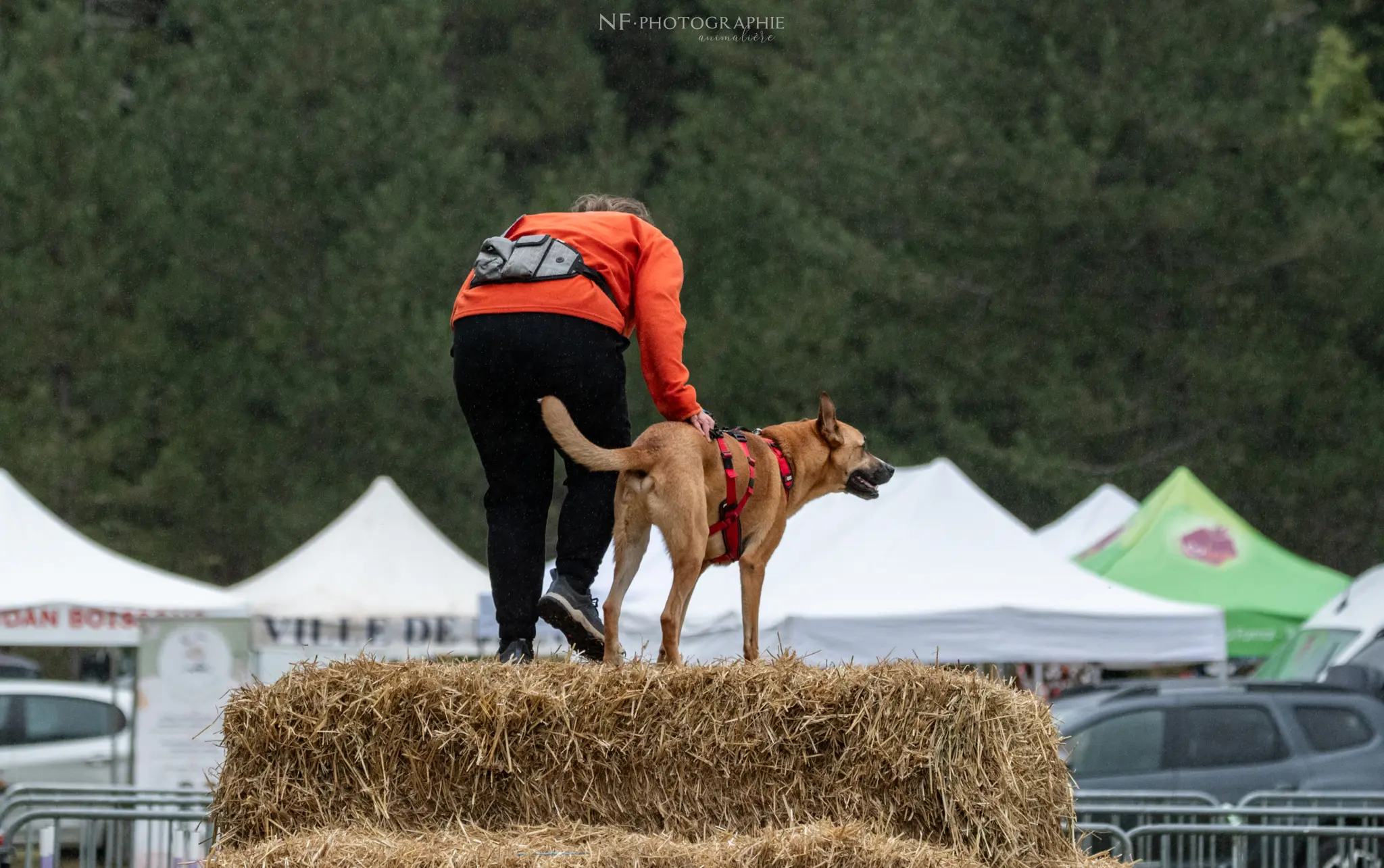 Cani-Parcours - Édition 2024 - Canifun