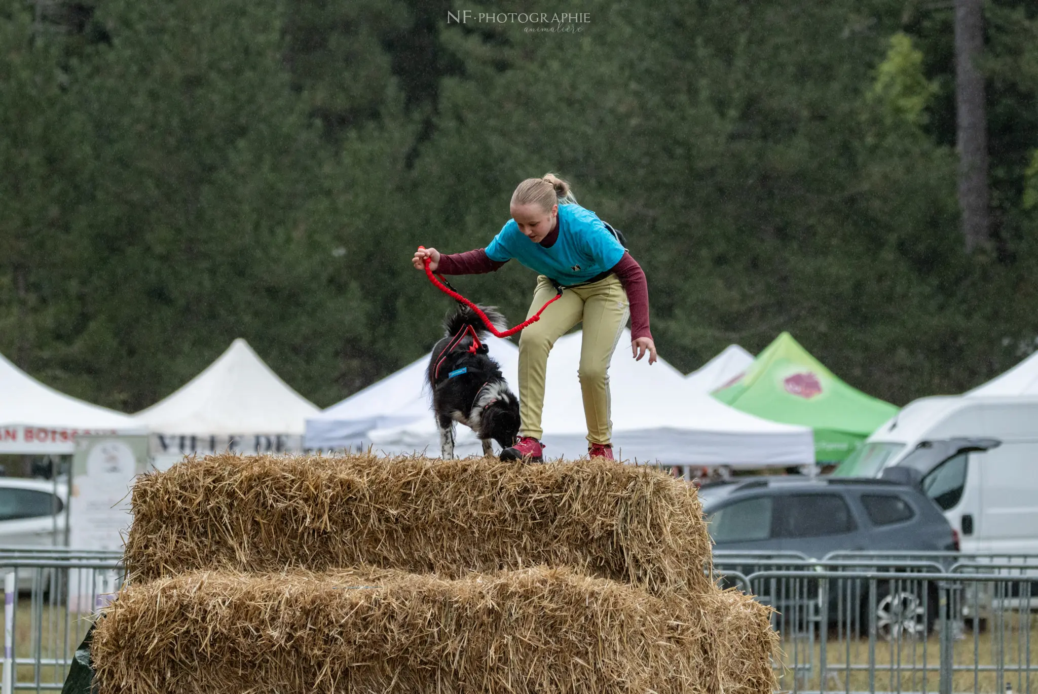 Cani-Parcours - Édition 2024 - Canifun