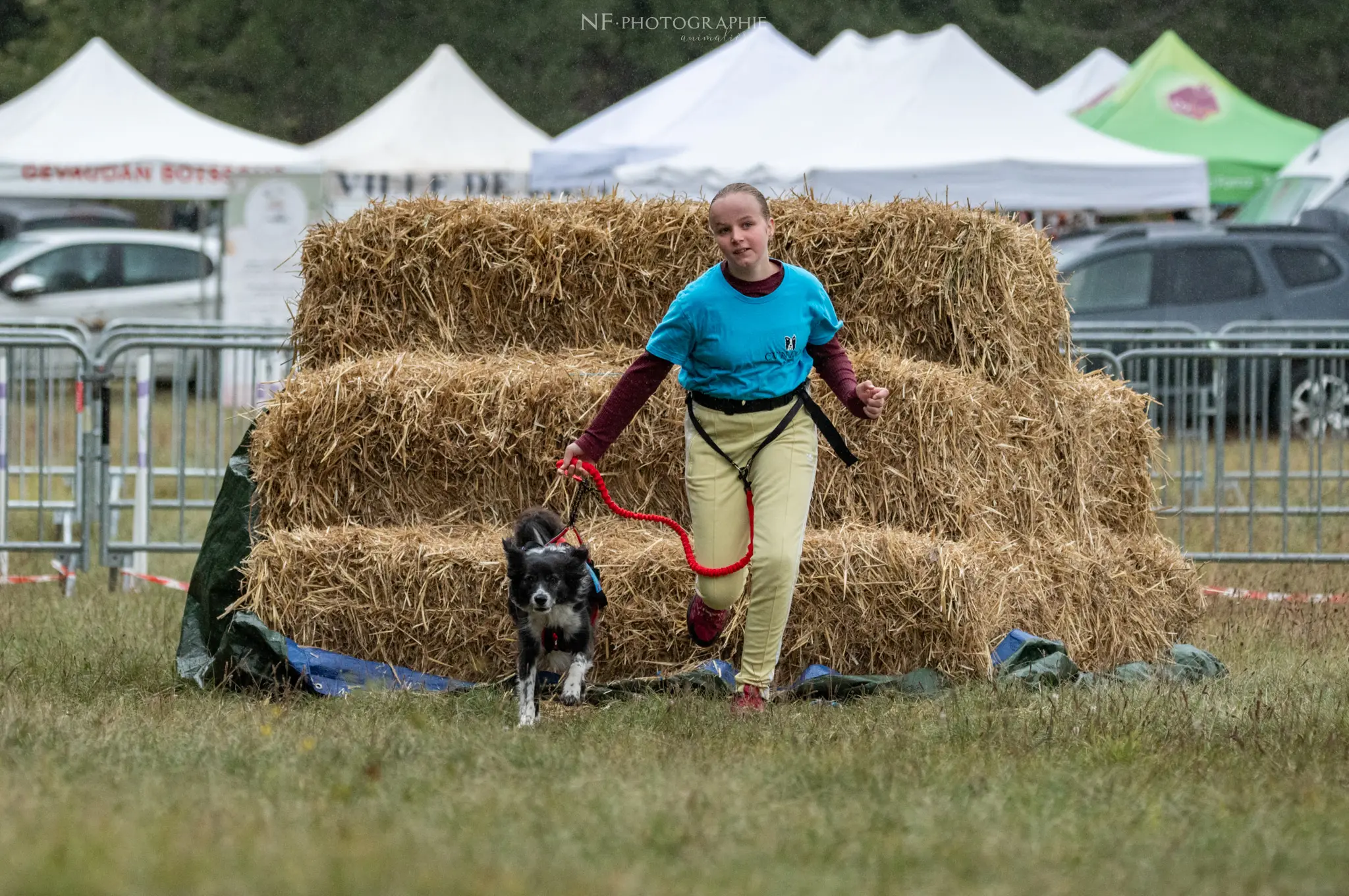 Cani-Parcours - Édition 2024 - Canifun