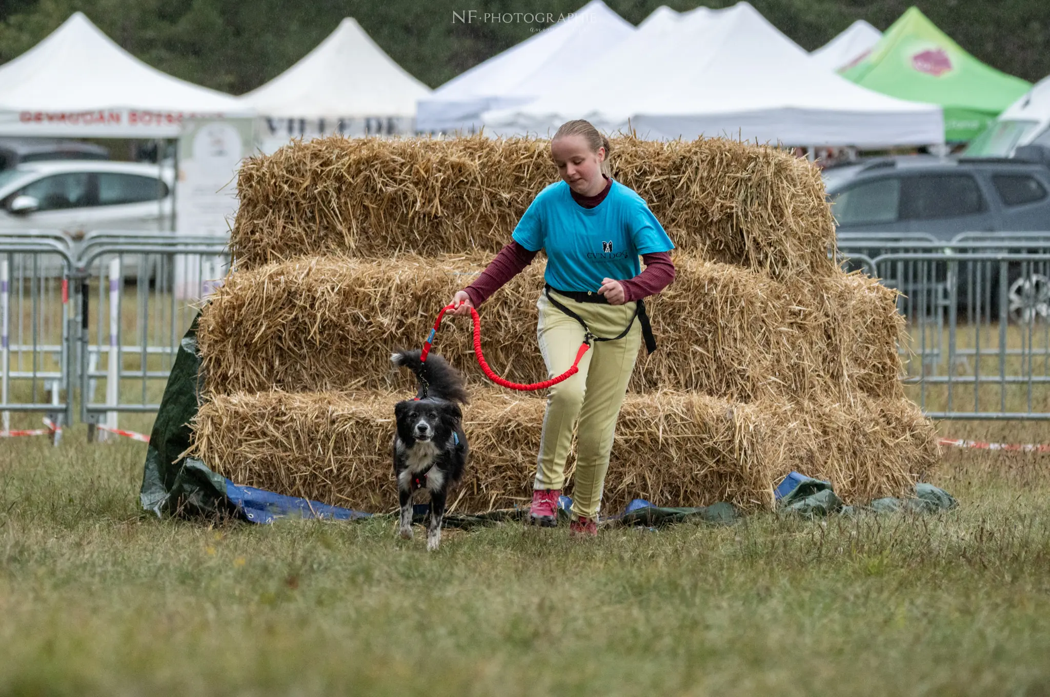 Cani-Parcours - Édition 2024 - Canifun