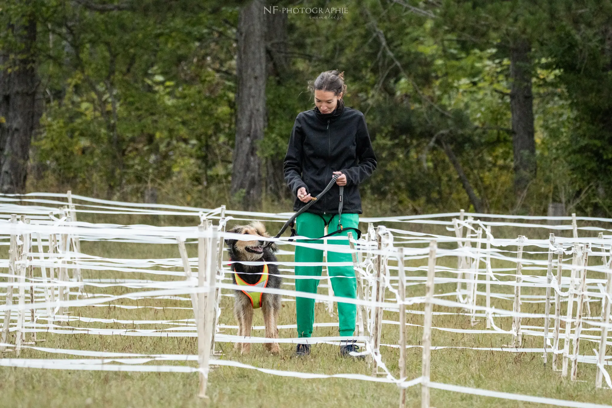 Cani-Parcours - Édition 2024 - Canifun