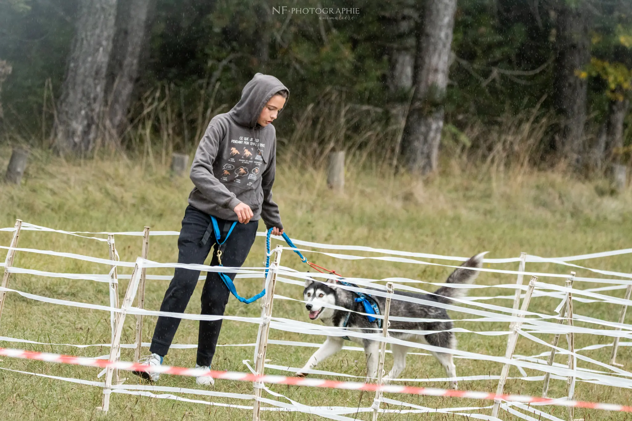 Cani-Parcours - Édition 2024 - Canifun