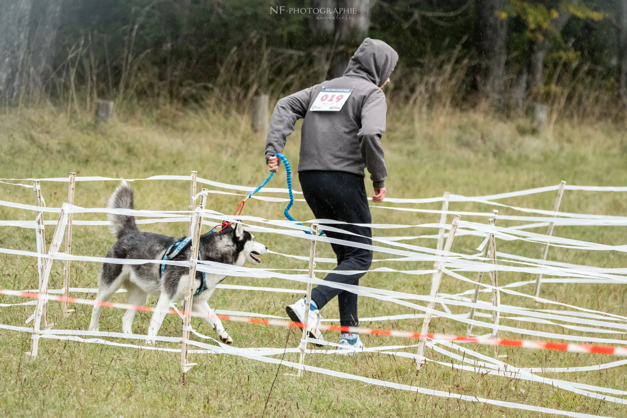 Cani-Parcours - Édition 2024 - Canifun