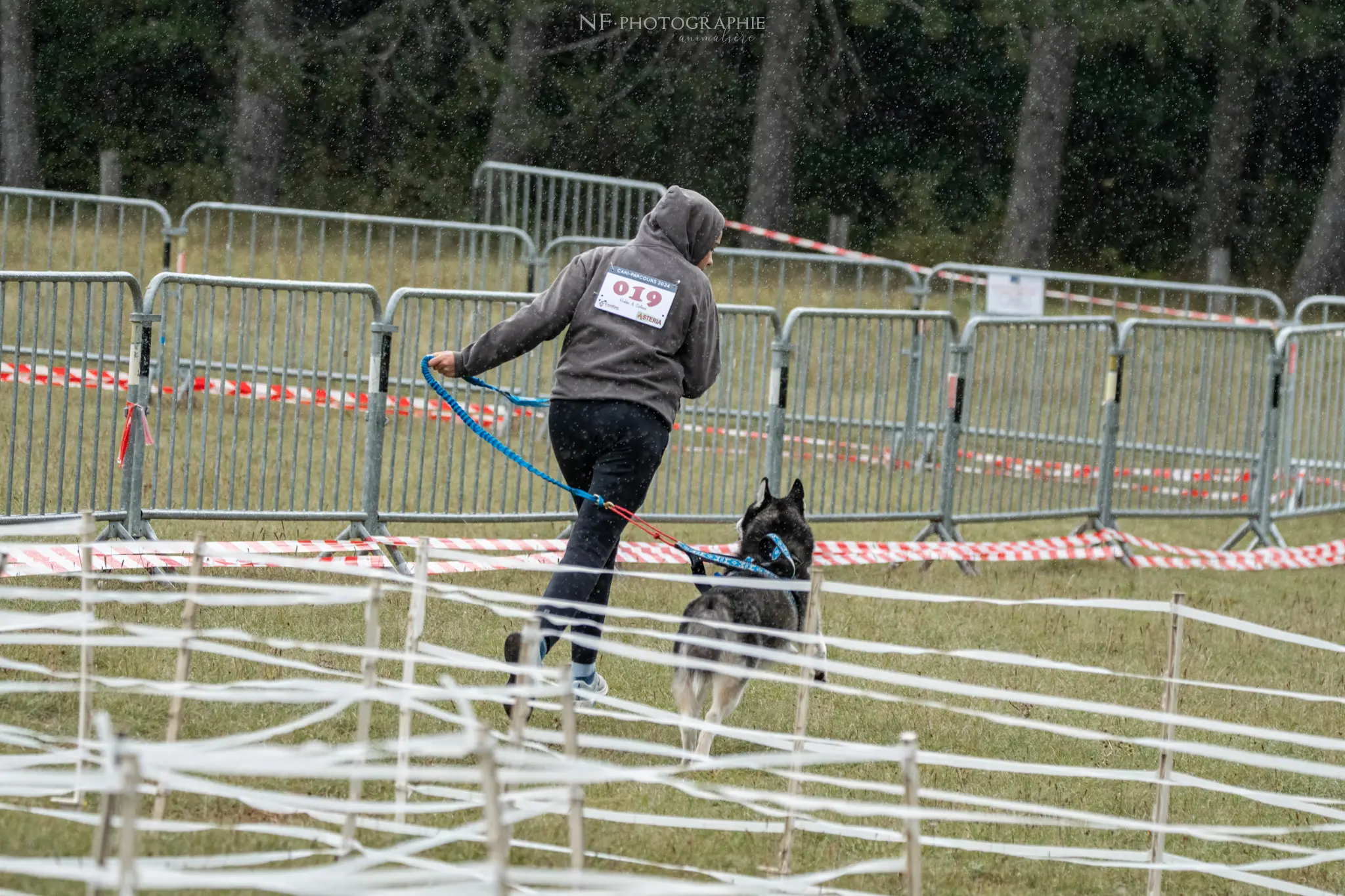 Cani-Parcours - Édition 2024 - Canifun