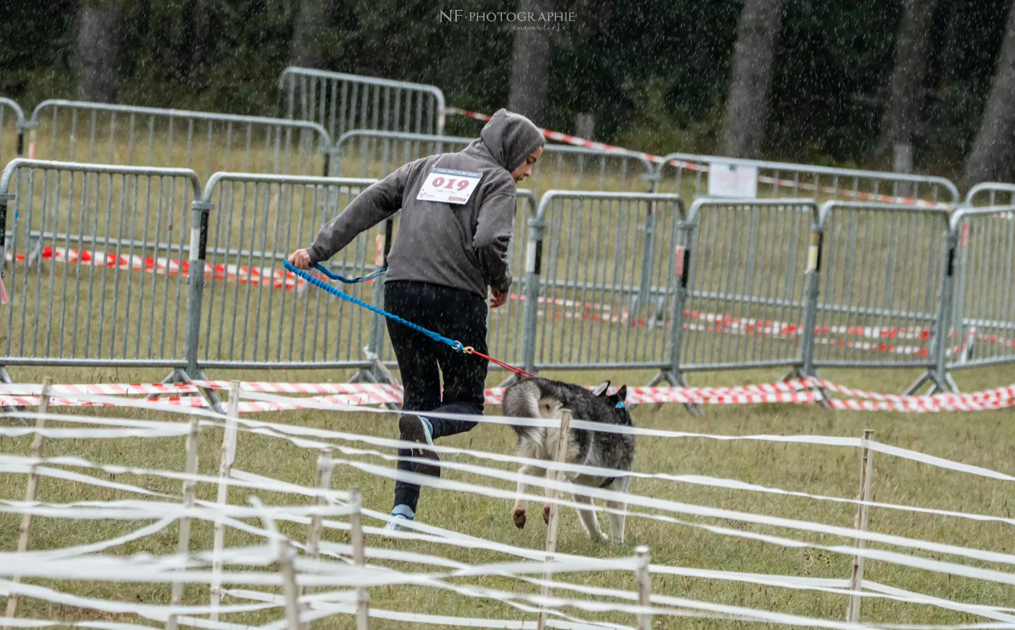 Cani-Parcours - Édition 2024 - Canifun