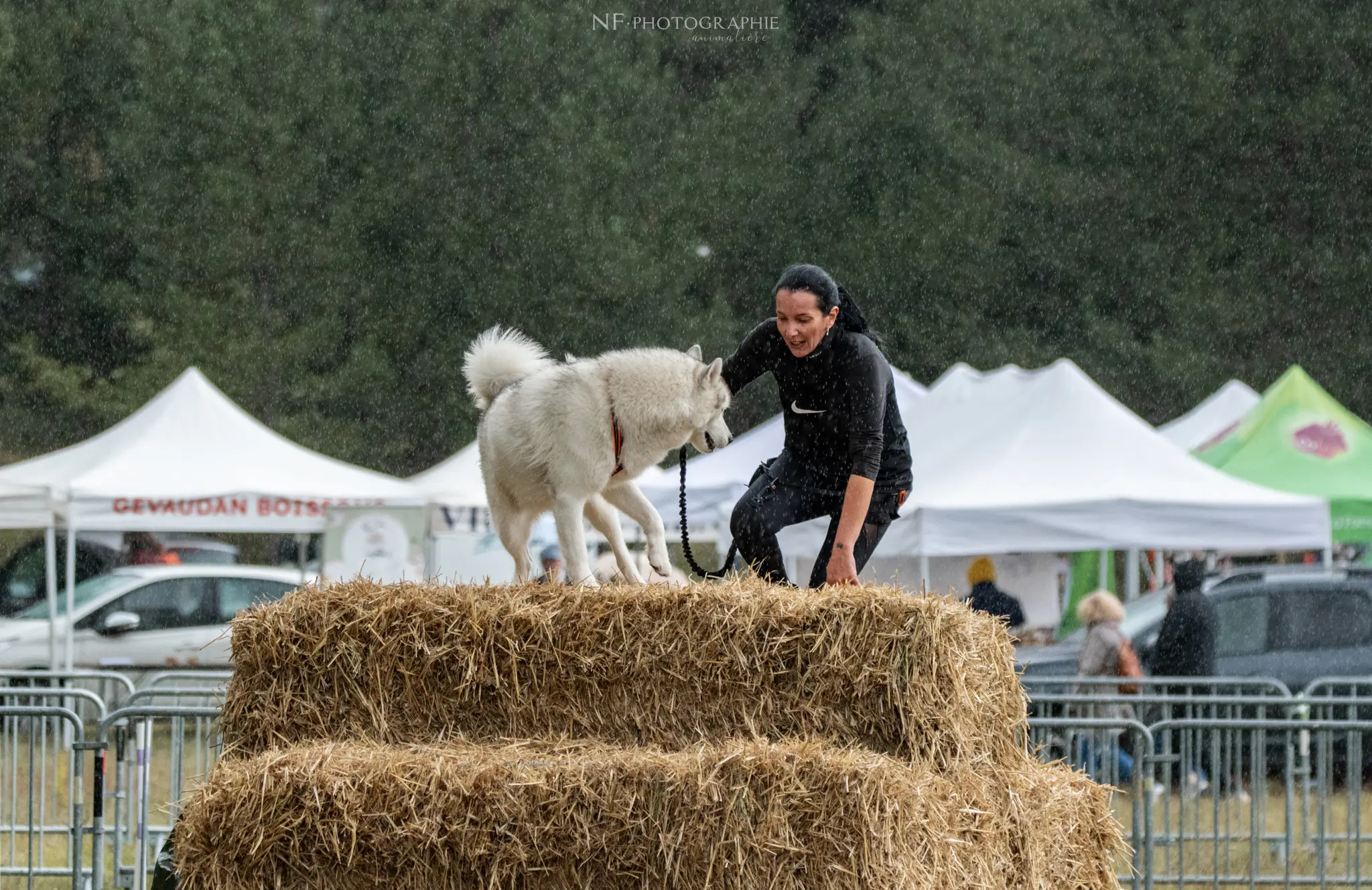 Cani-Parcours - Édition 2024 - Canifun