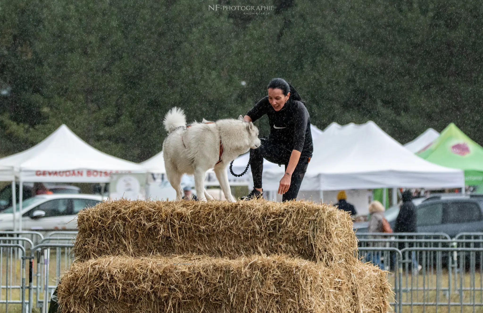 Cani-Parcours - Édition 2024 - Canifun