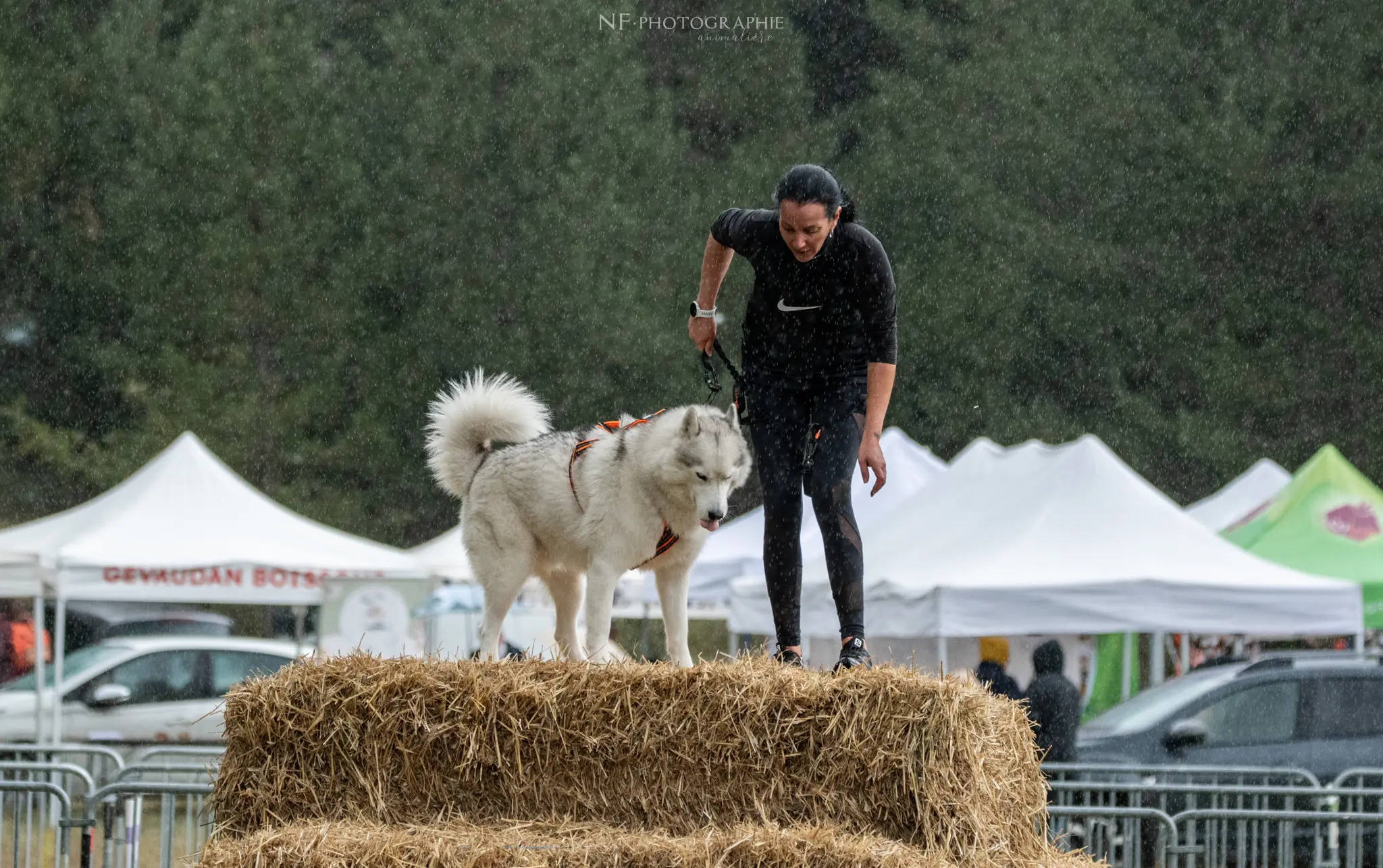 Cani-Parcours - Édition 2024 - Canifun