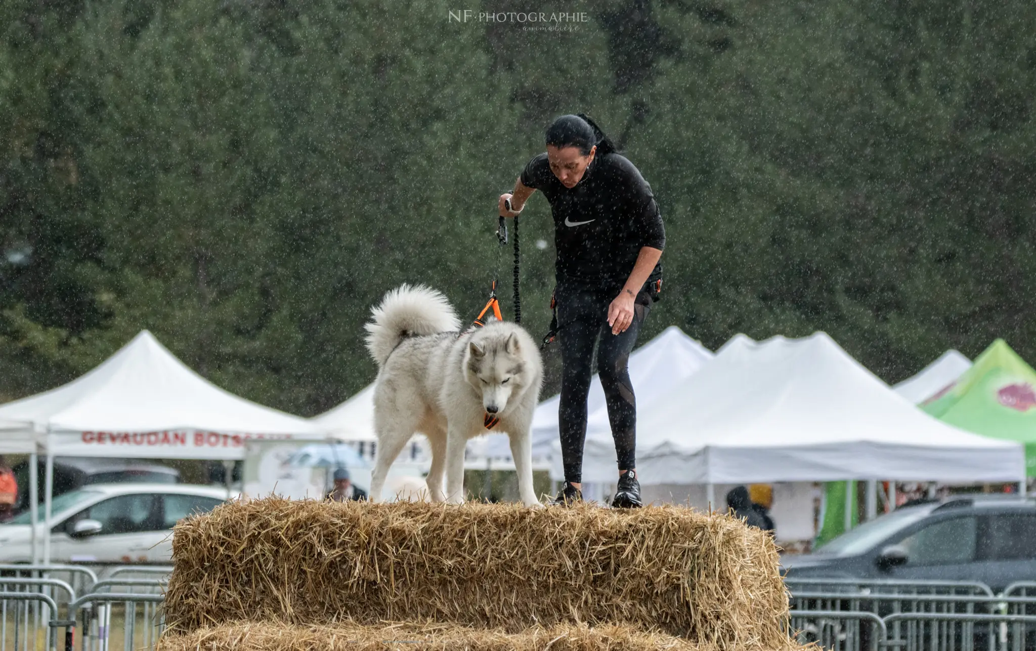 Cani-Parcours - Édition 2024 - Canifun