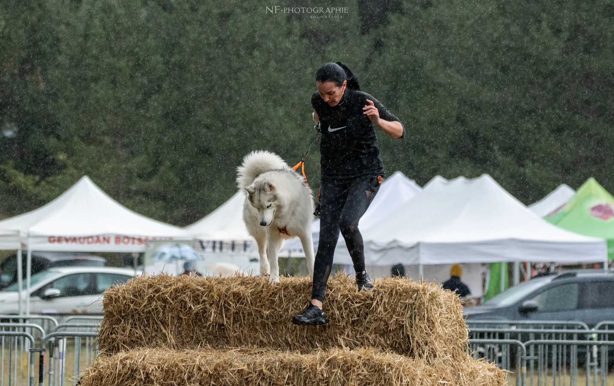 Cani-Parcours - Édition 2024 - Canifun