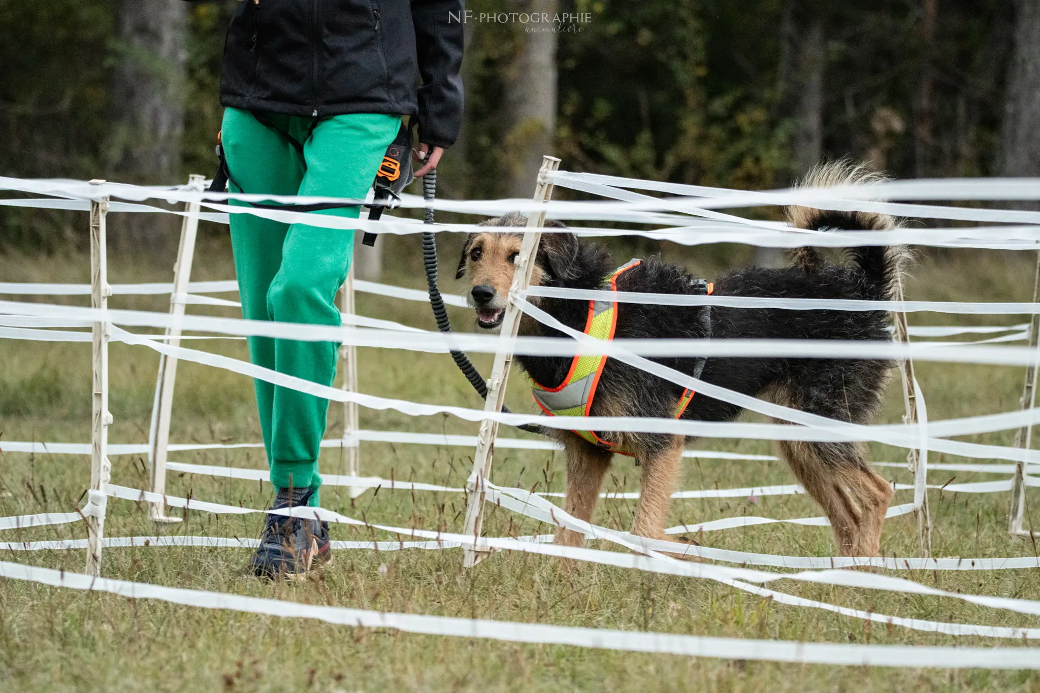 Cani-Parcours - Édition 2024 - Canifun