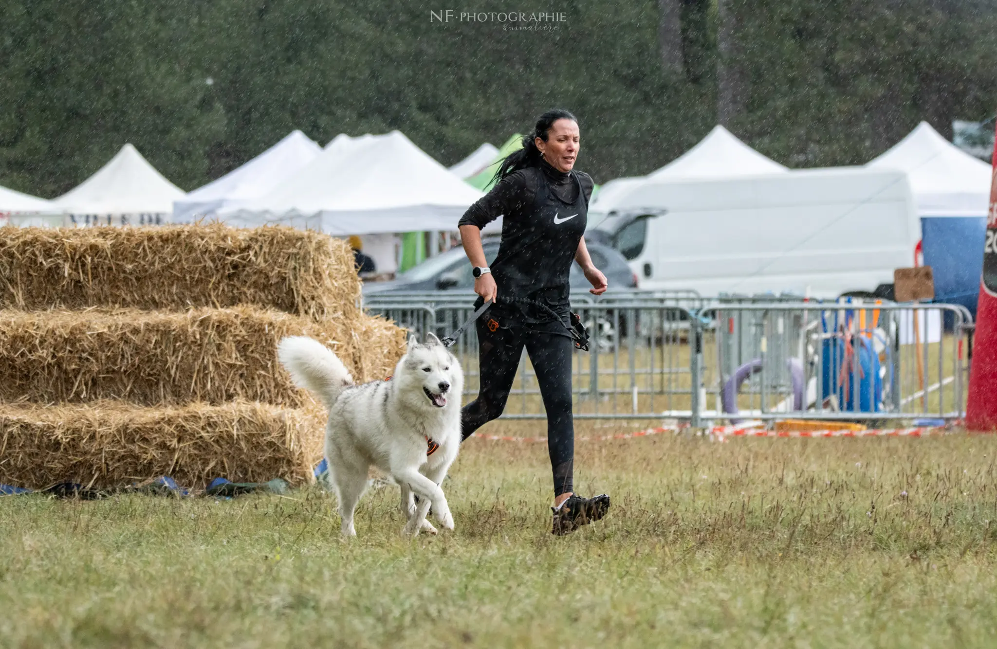 Cani-Parcours - Édition 2024 - Canifun