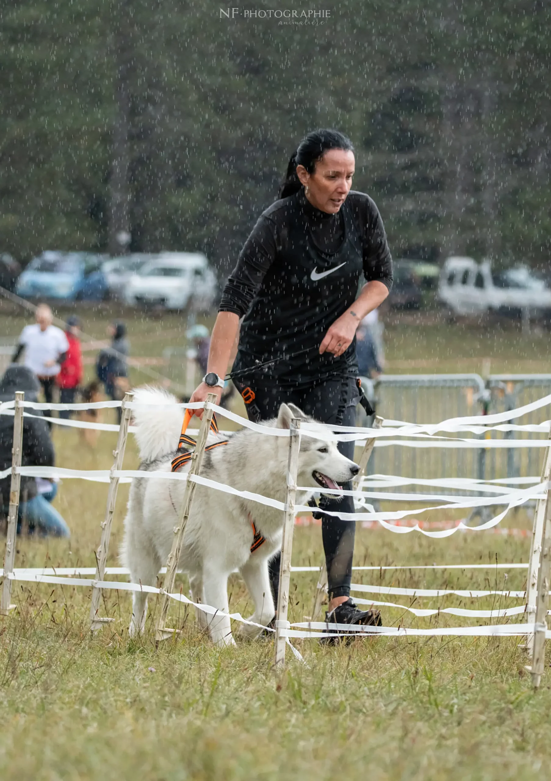 Cani-Parcours - Édition 2024 - Canifun