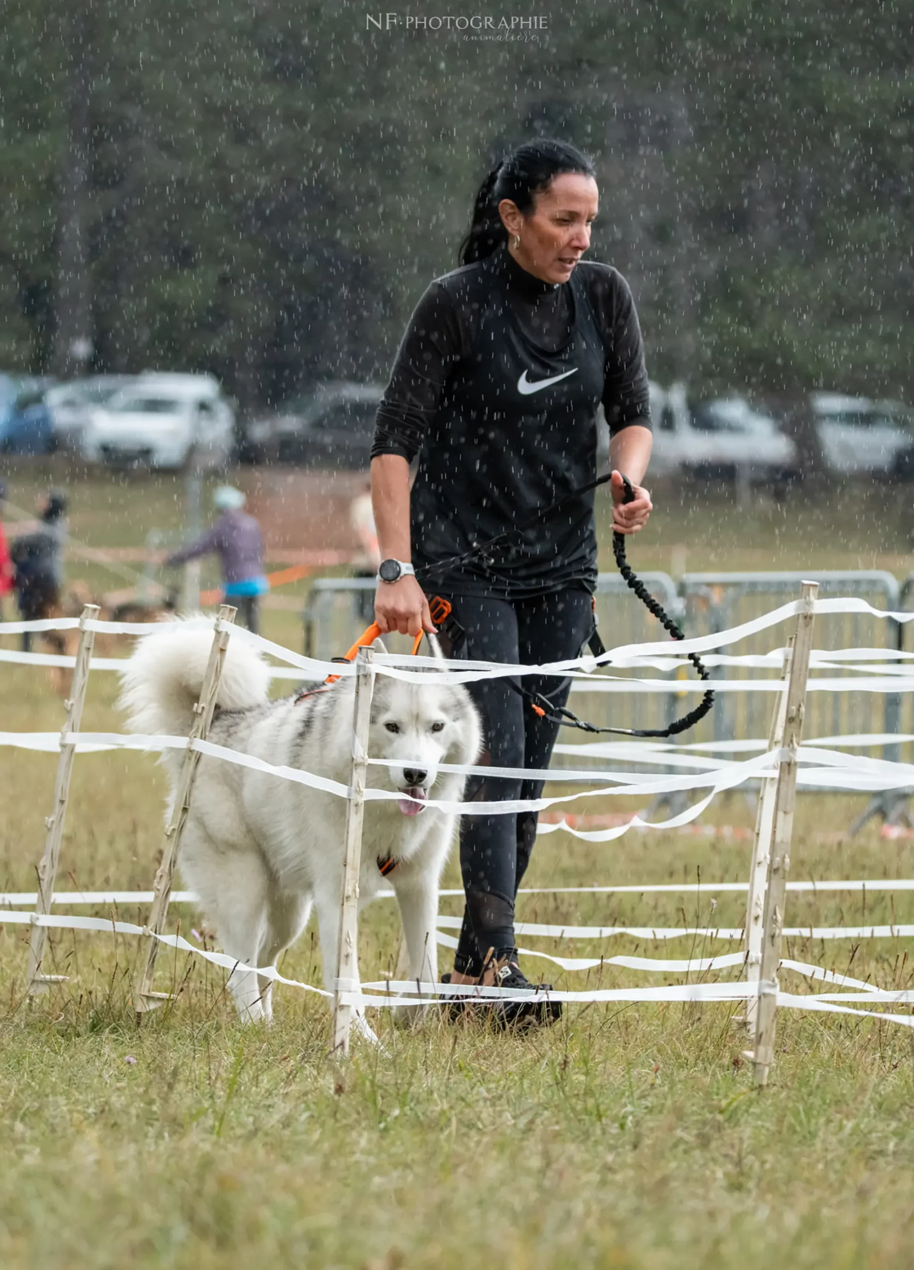 Cani-Parcours - Édition 2024 - Canifun