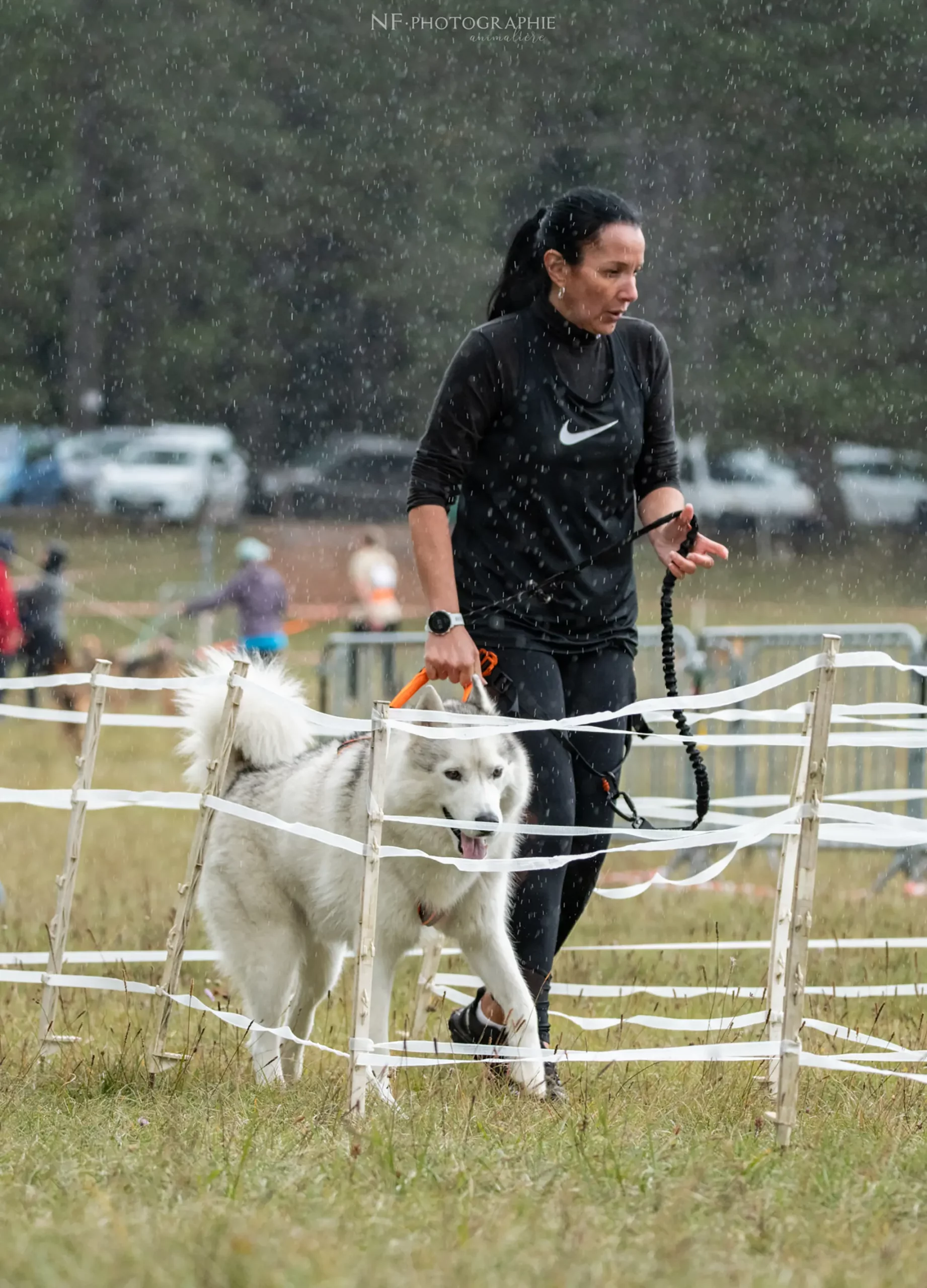 Cani-Parcours - Édition 2024 - Canifun