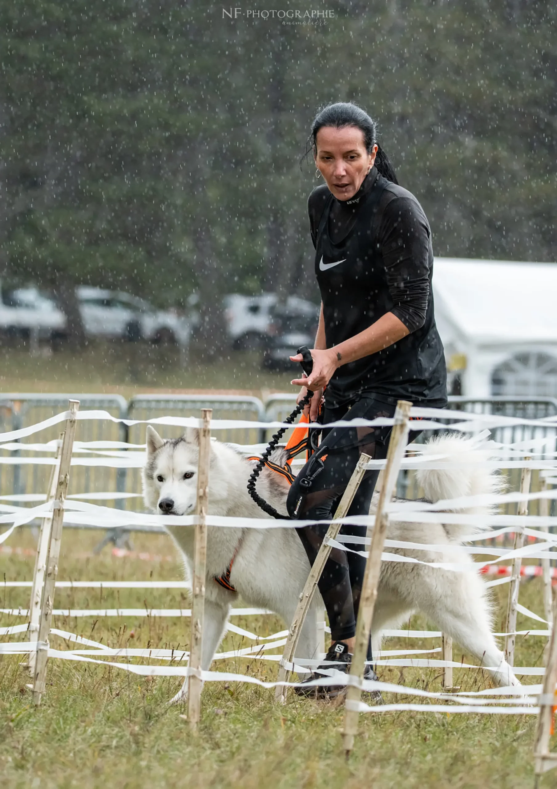 Cani-Parcours - Édition 2024 - Canifun