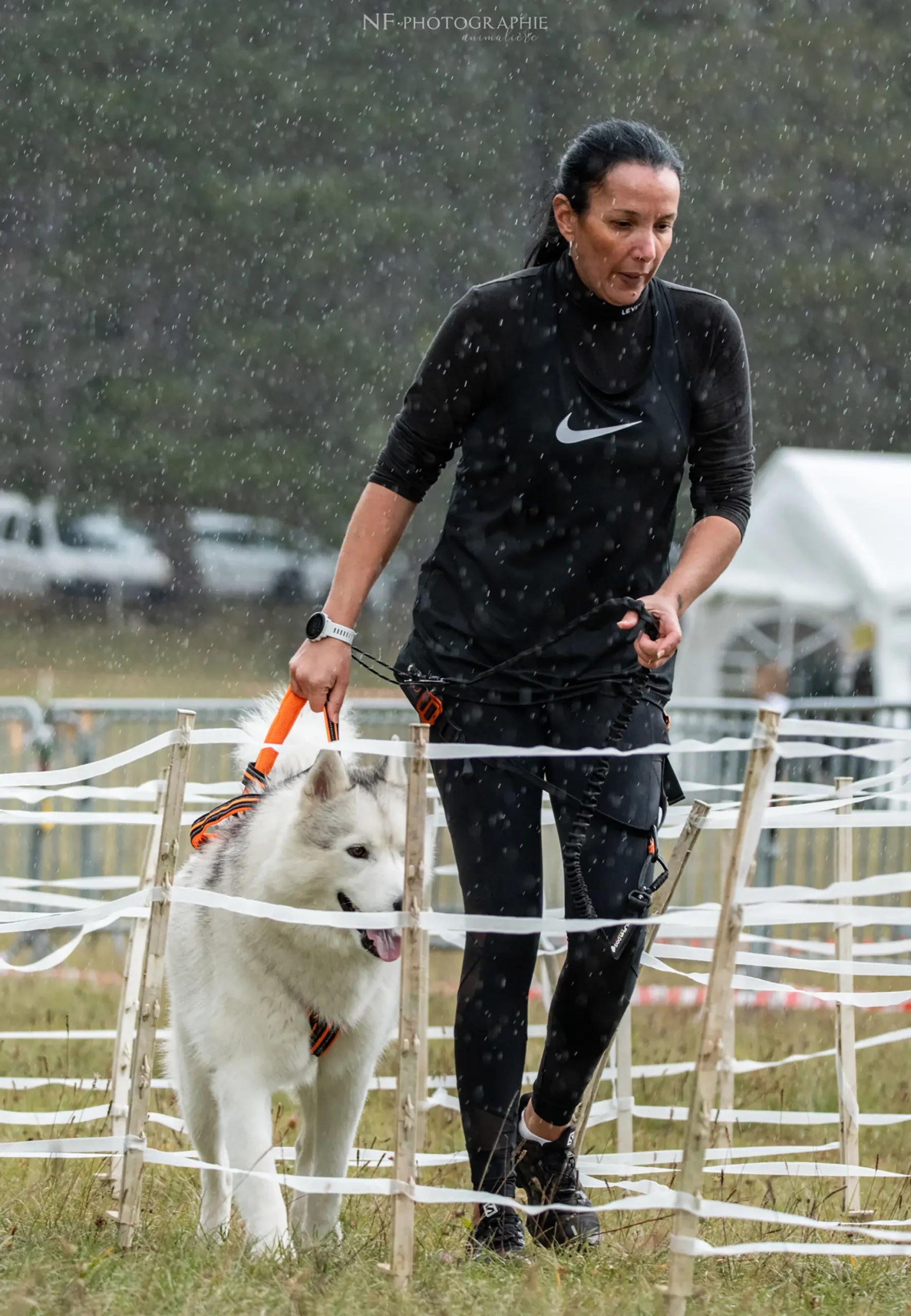 Cani-Parcours - Édition 2024 - Canifun