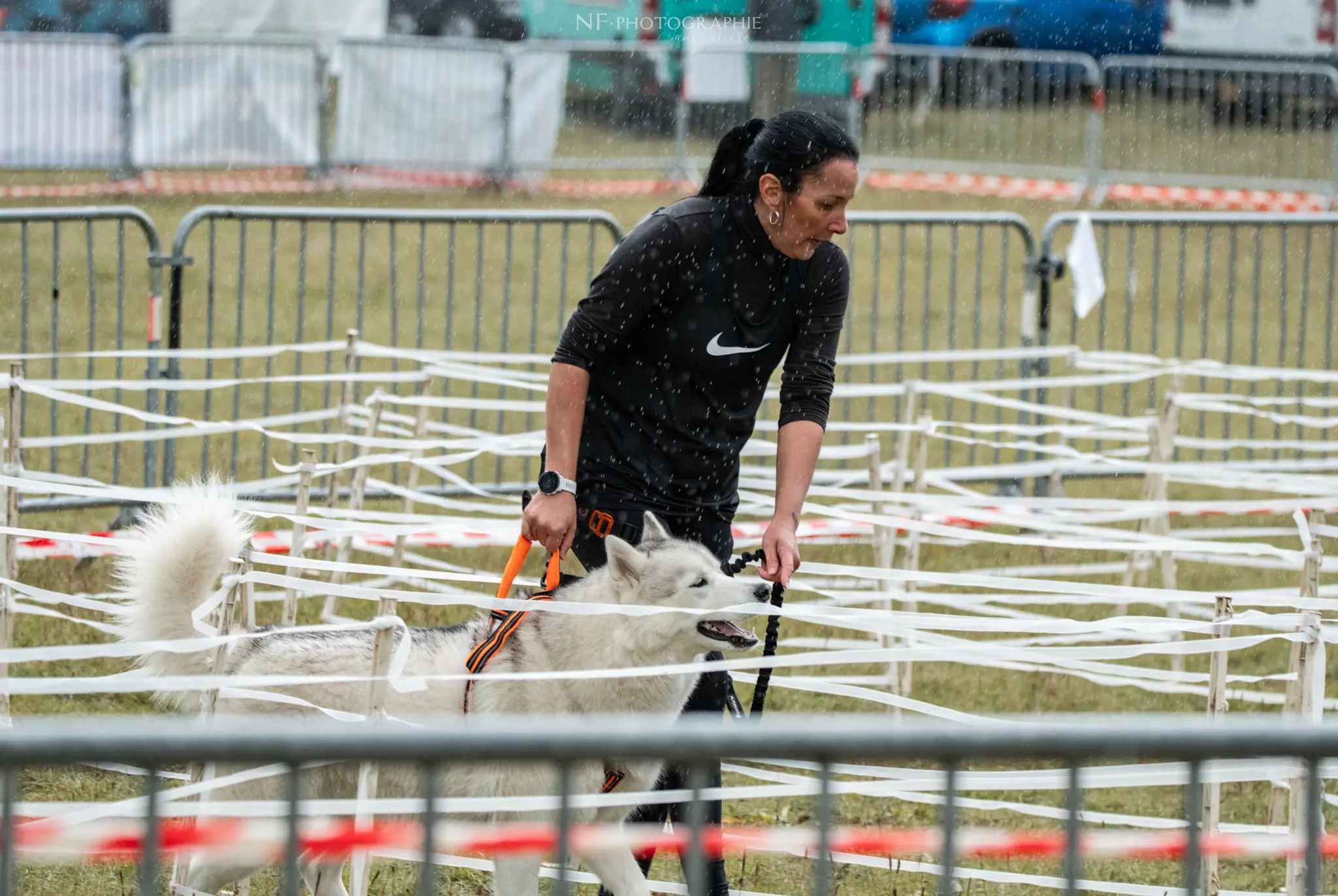 Cani-Parcours - Édition 2024 - Canifun