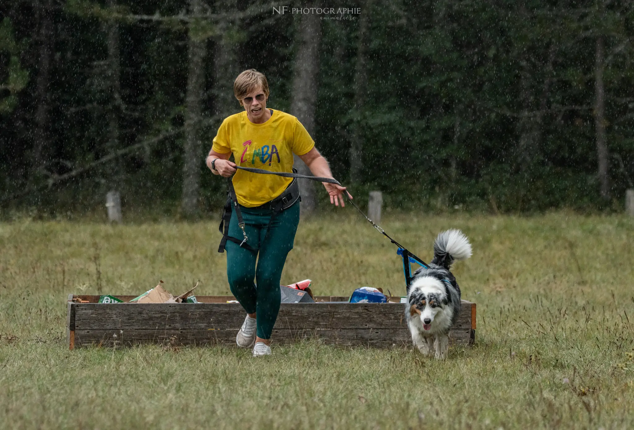 Cani-Parcours - Édition 2024 - Canifun