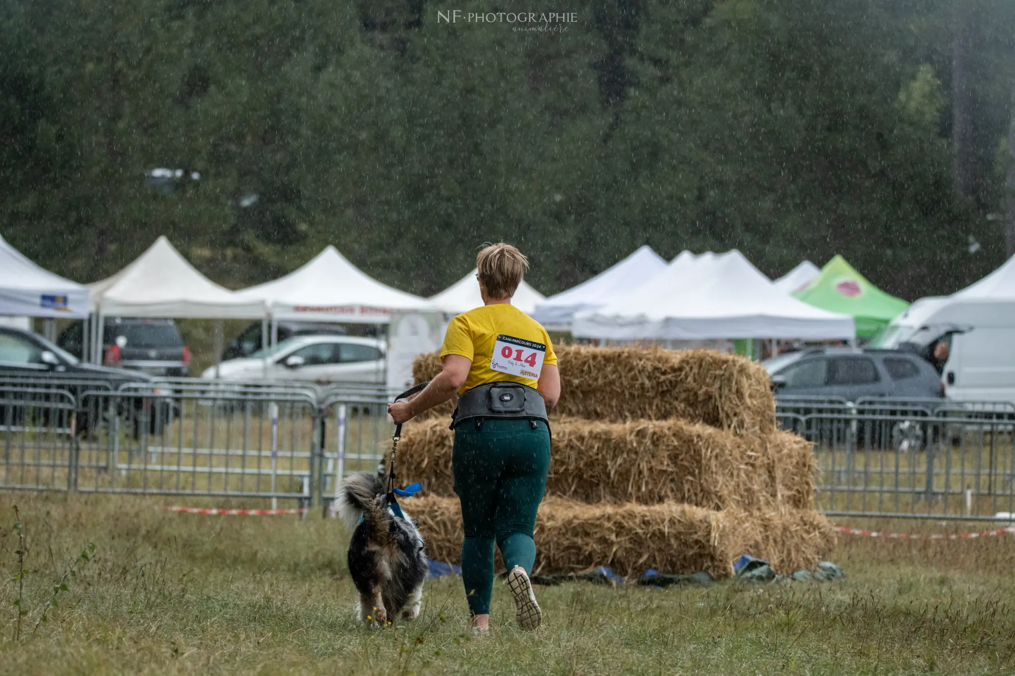 Cani-Parcours - Édition 2024 - Canifun