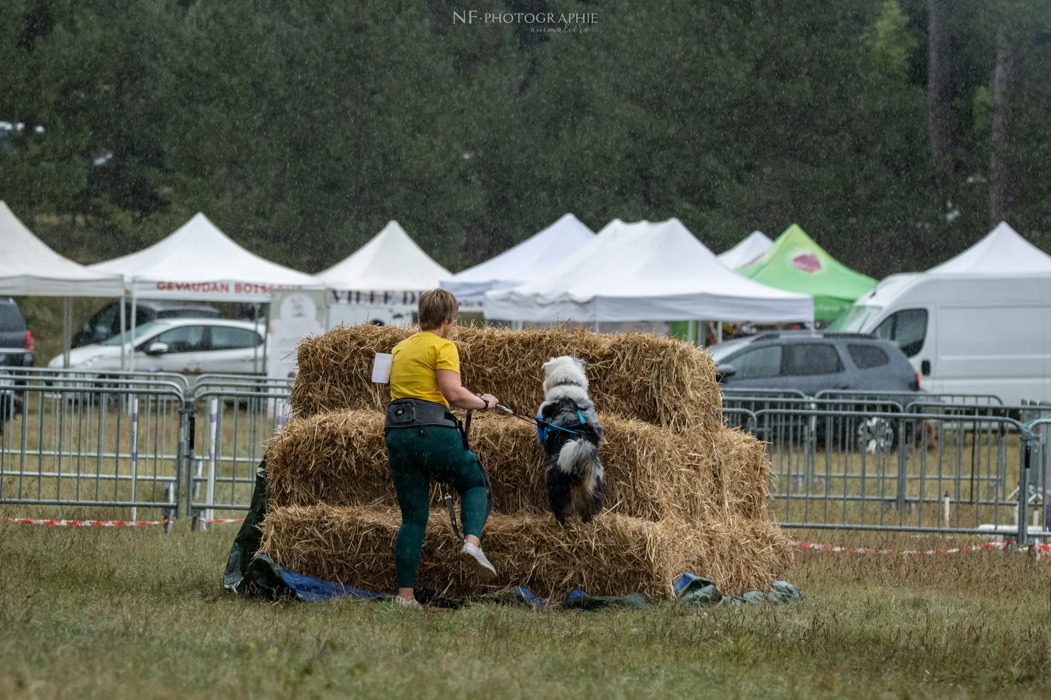 Cani-Parcours - Édition 2024 - Canifun