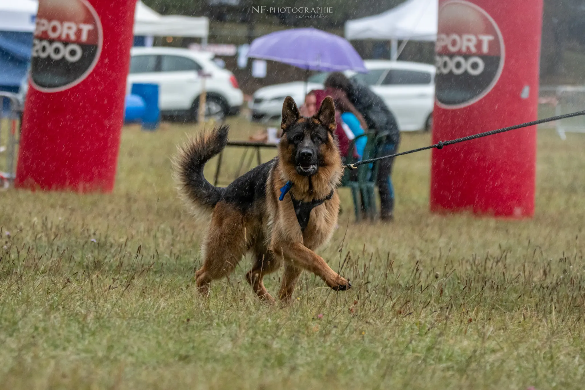 Cani-Parcours - Édition 2024 - Canifun