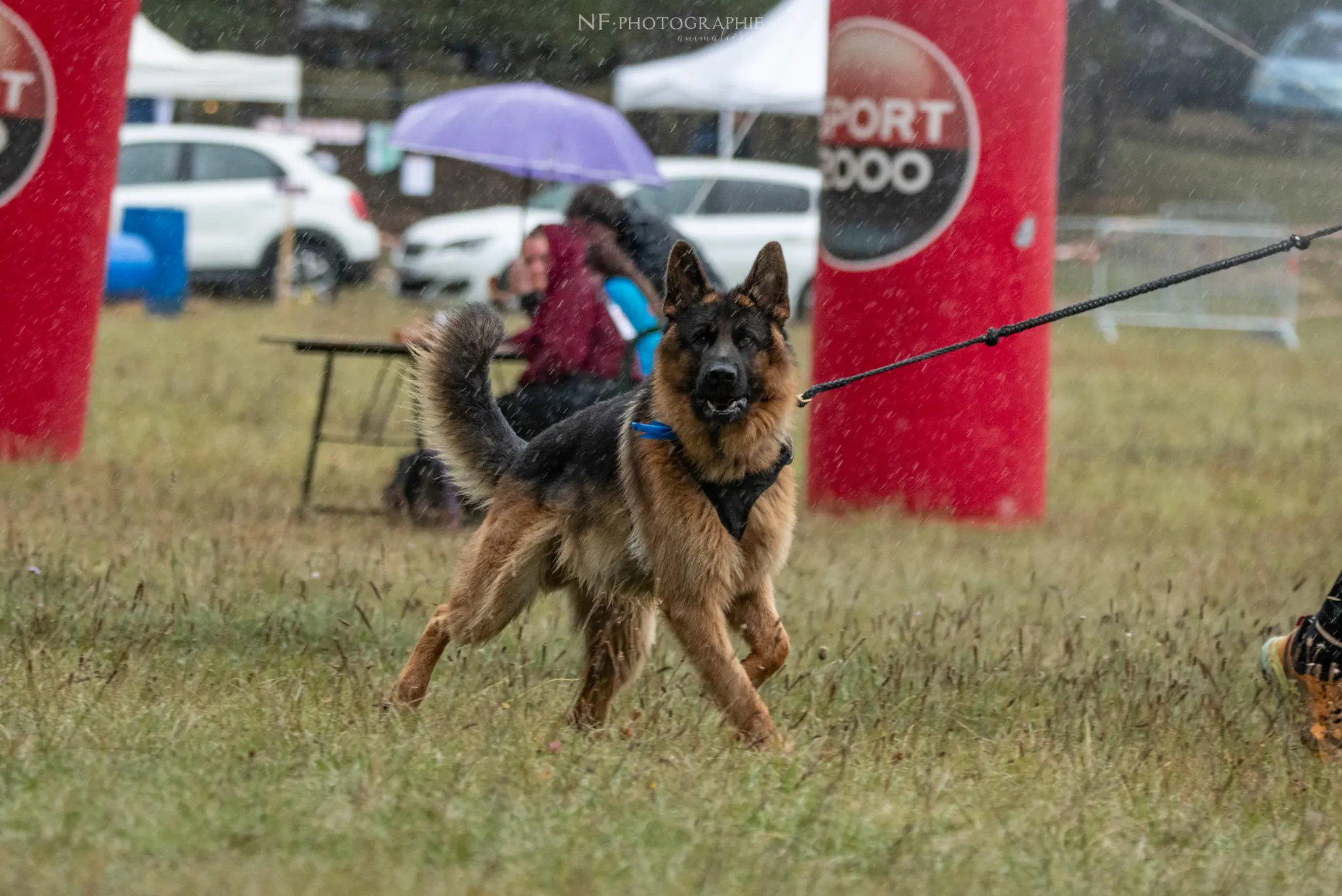 Cani-Parcours - Édition 2024 - Canifun