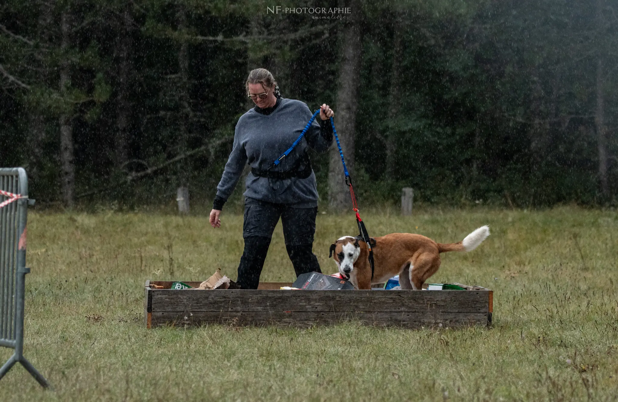 Cani-Parcours - Édition 2024 - Canifun