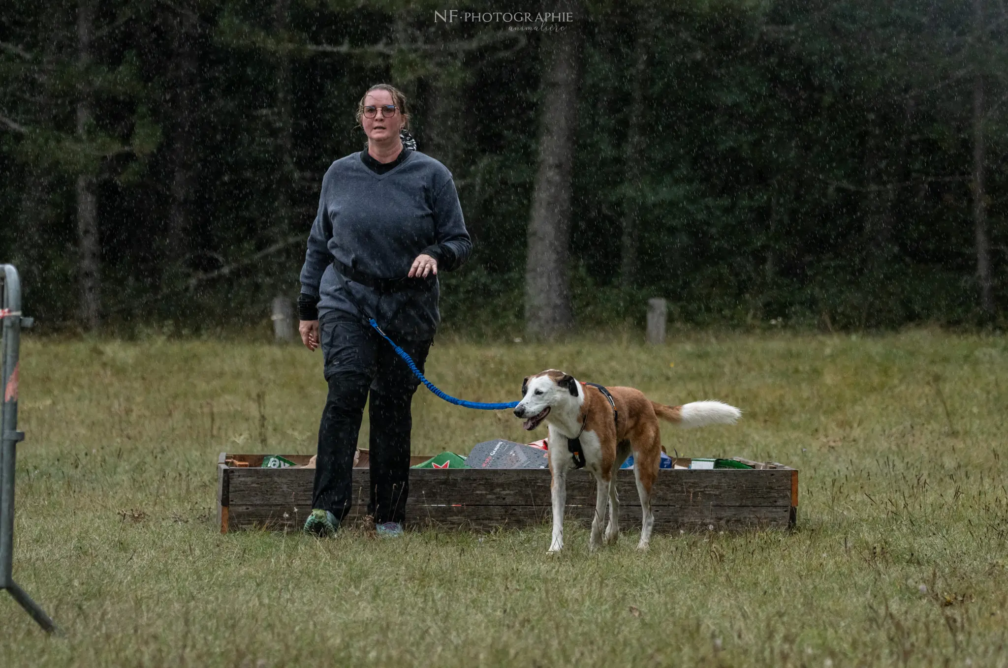 Cani-Parcours - Édition 2024 - Canifun