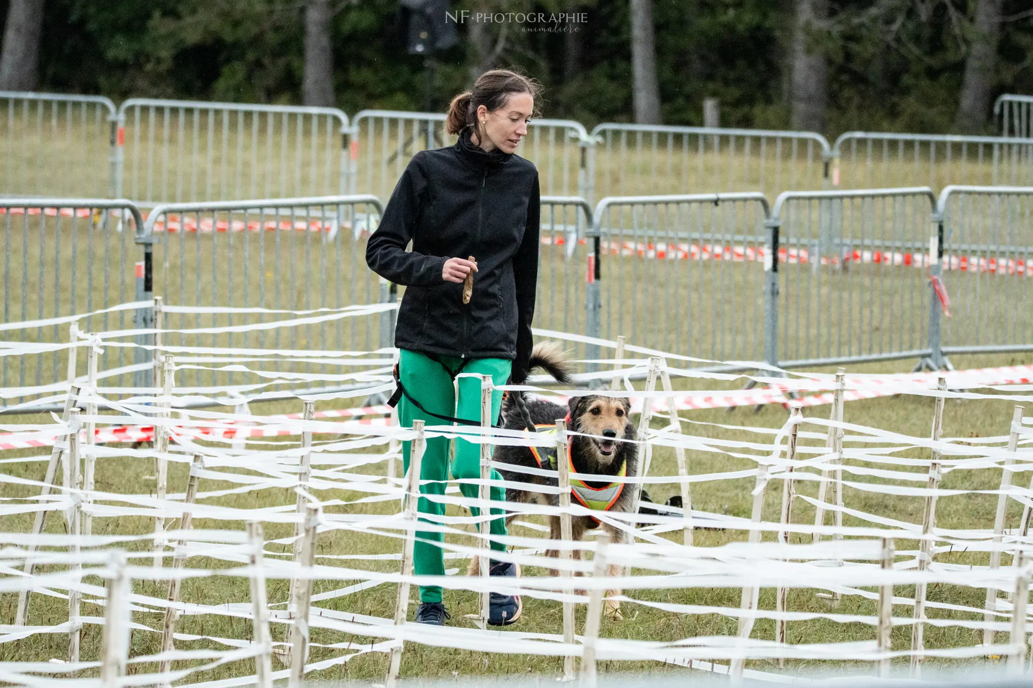 Cani-Parcours - Édition 2024 - Canifun