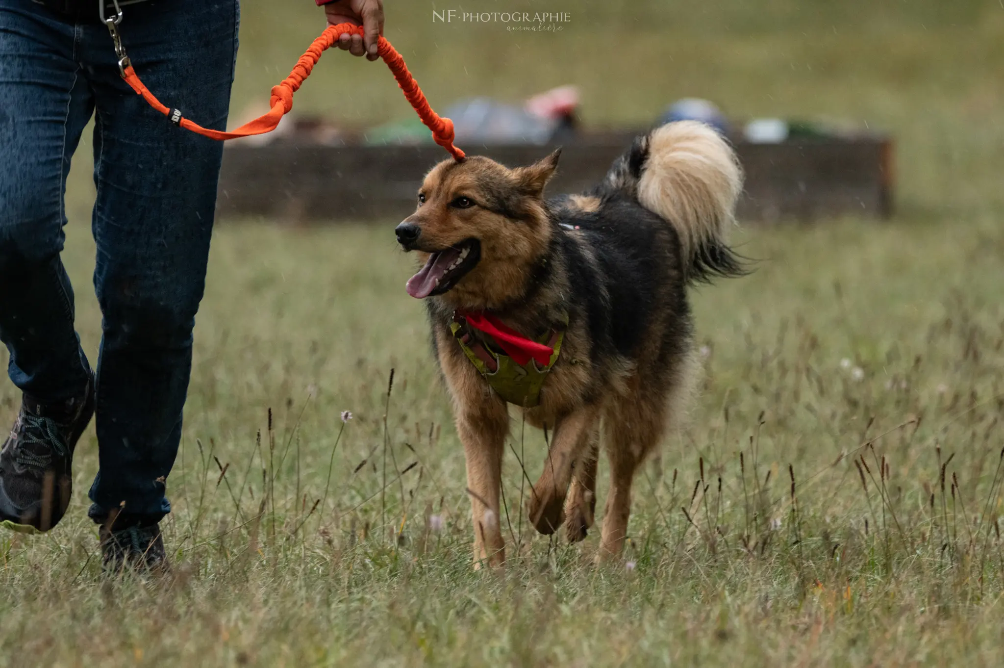 Cani-Parcours - Édition 2024 - Canifun