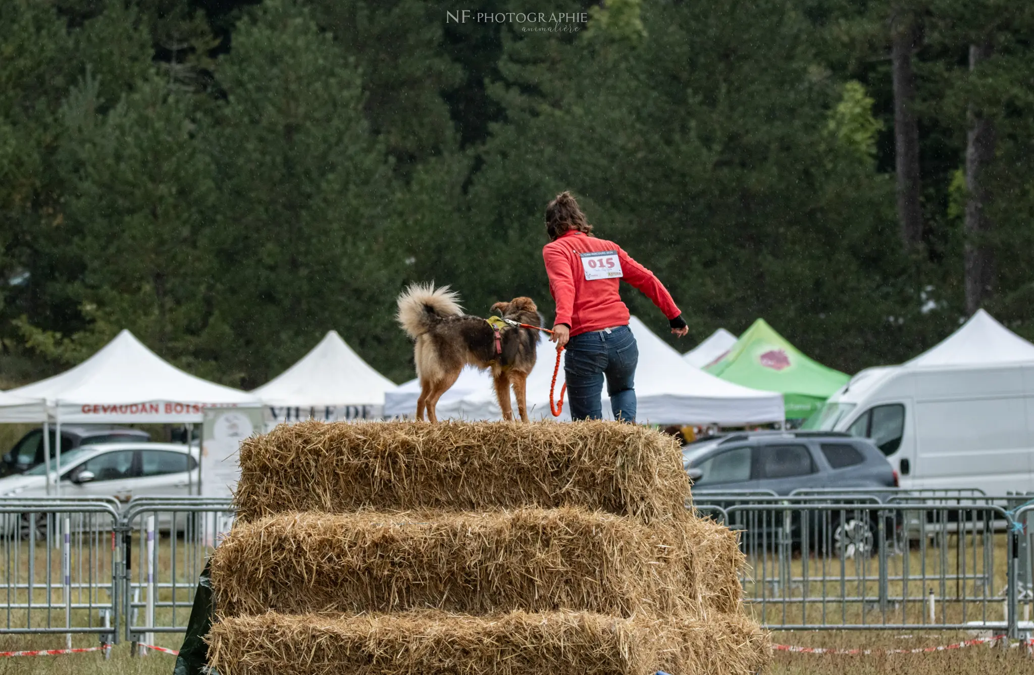 Cani-Parcours - Édition 2024 - Canifun