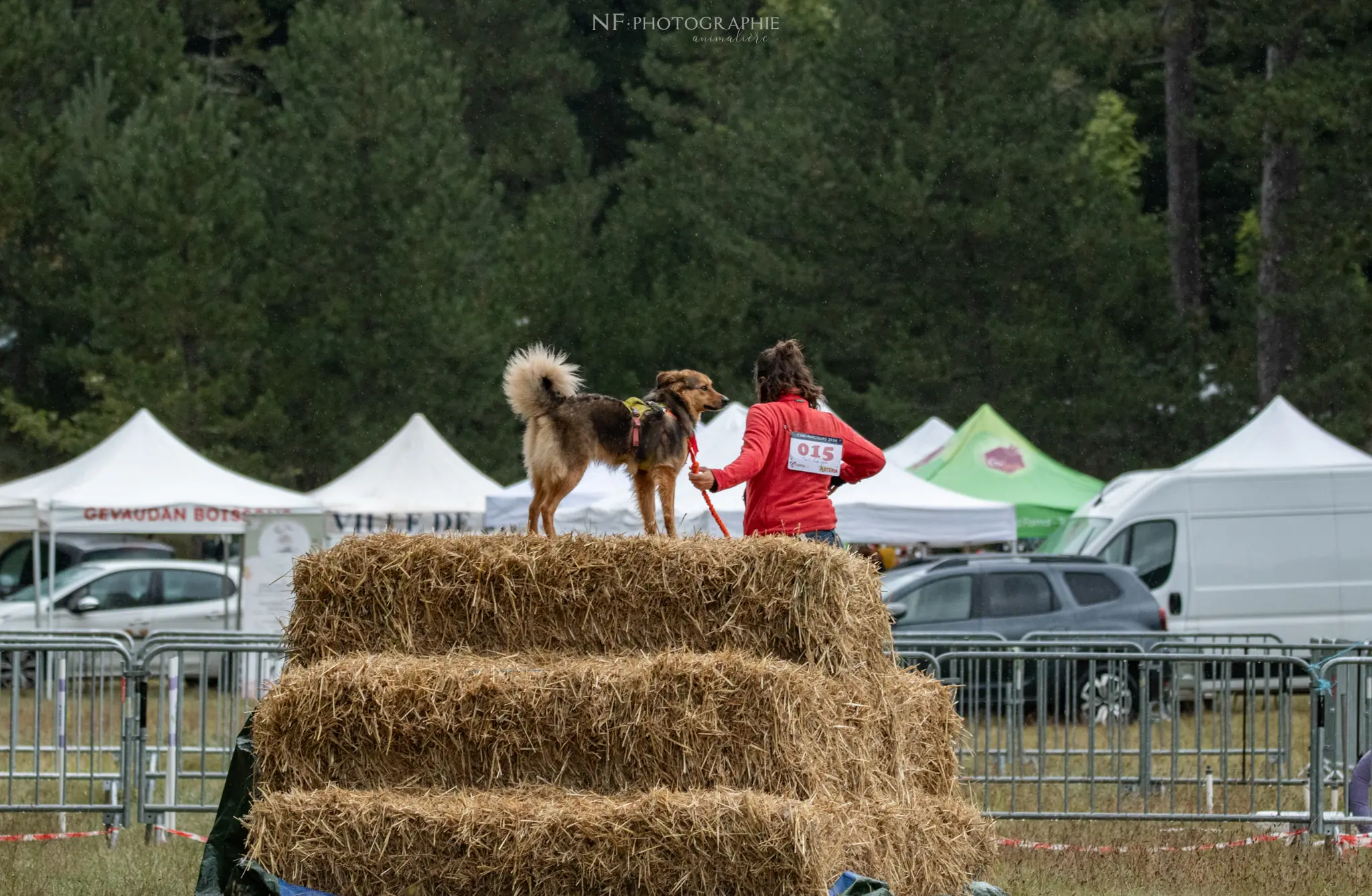 Cani-Parcours - Édition 2024 - Canifun