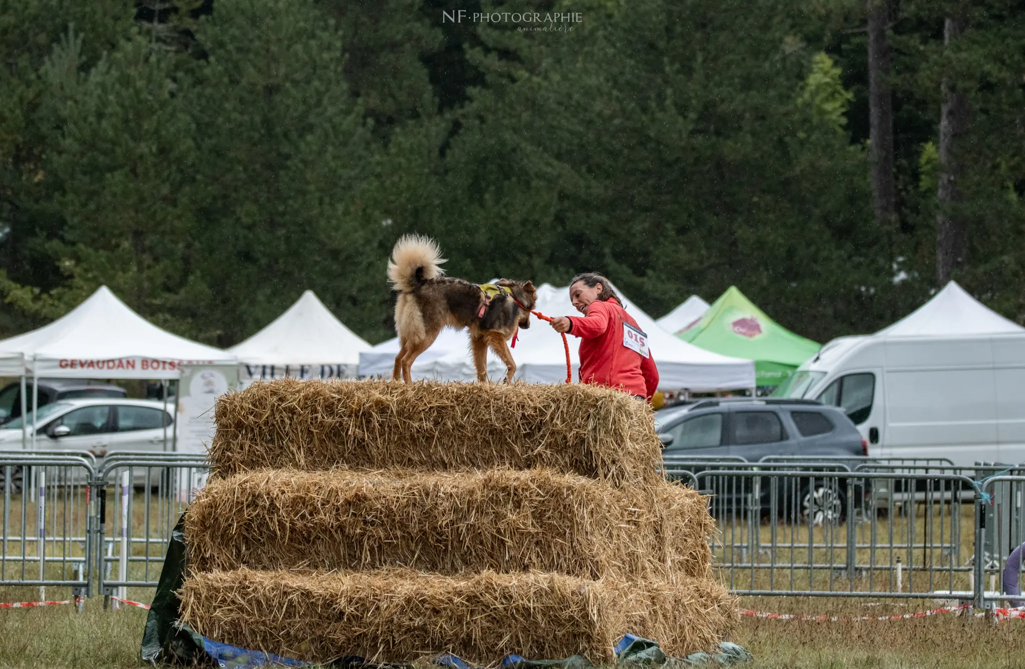 Cani-Parcours - Édition 2024 - Canifun