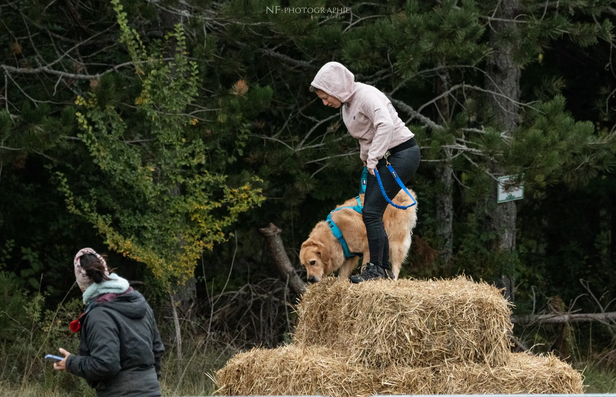 Cani-Parcours - Édition 2024 - Canifun