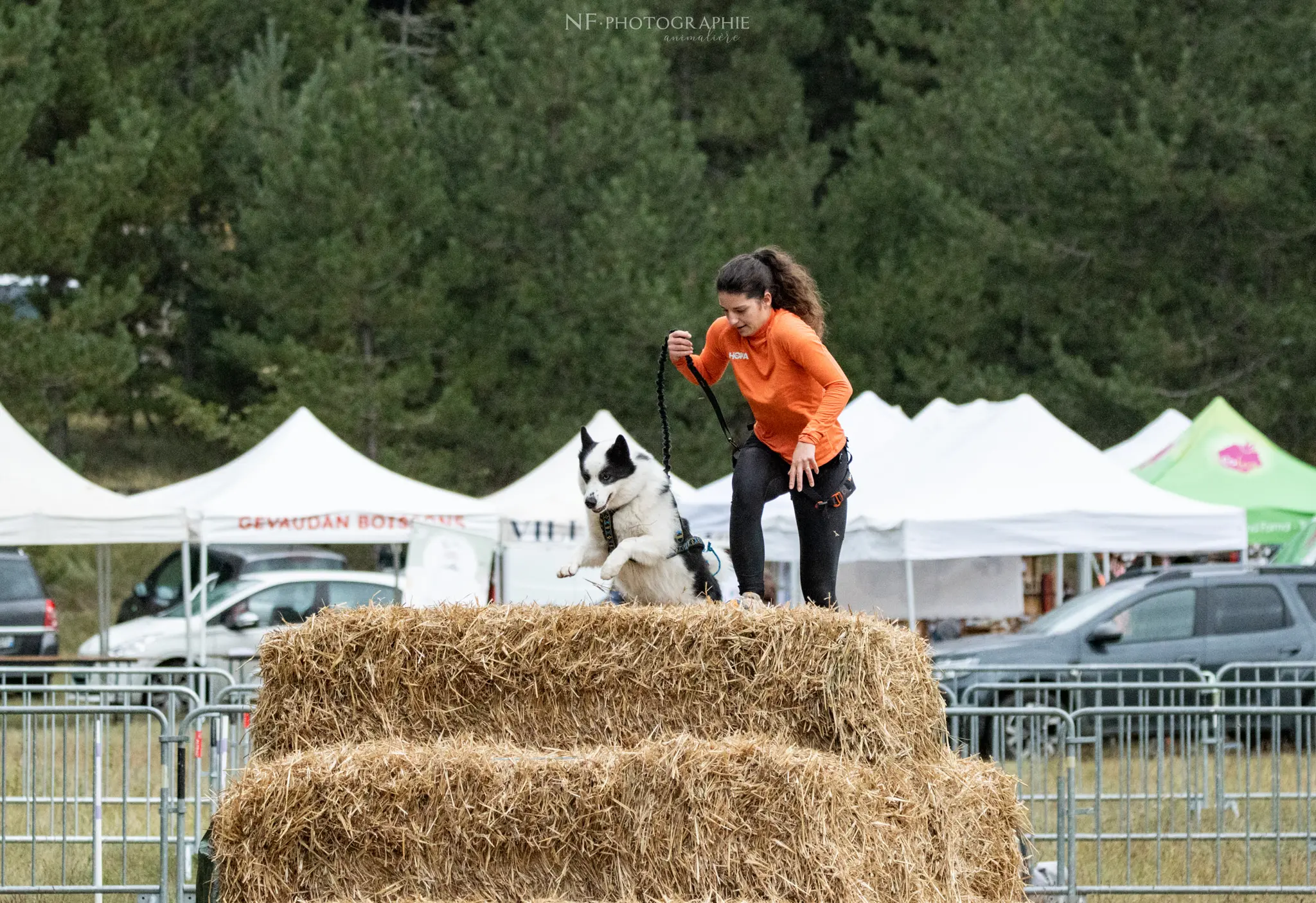 Cani-Parcours - Édition 2024 - Canifun