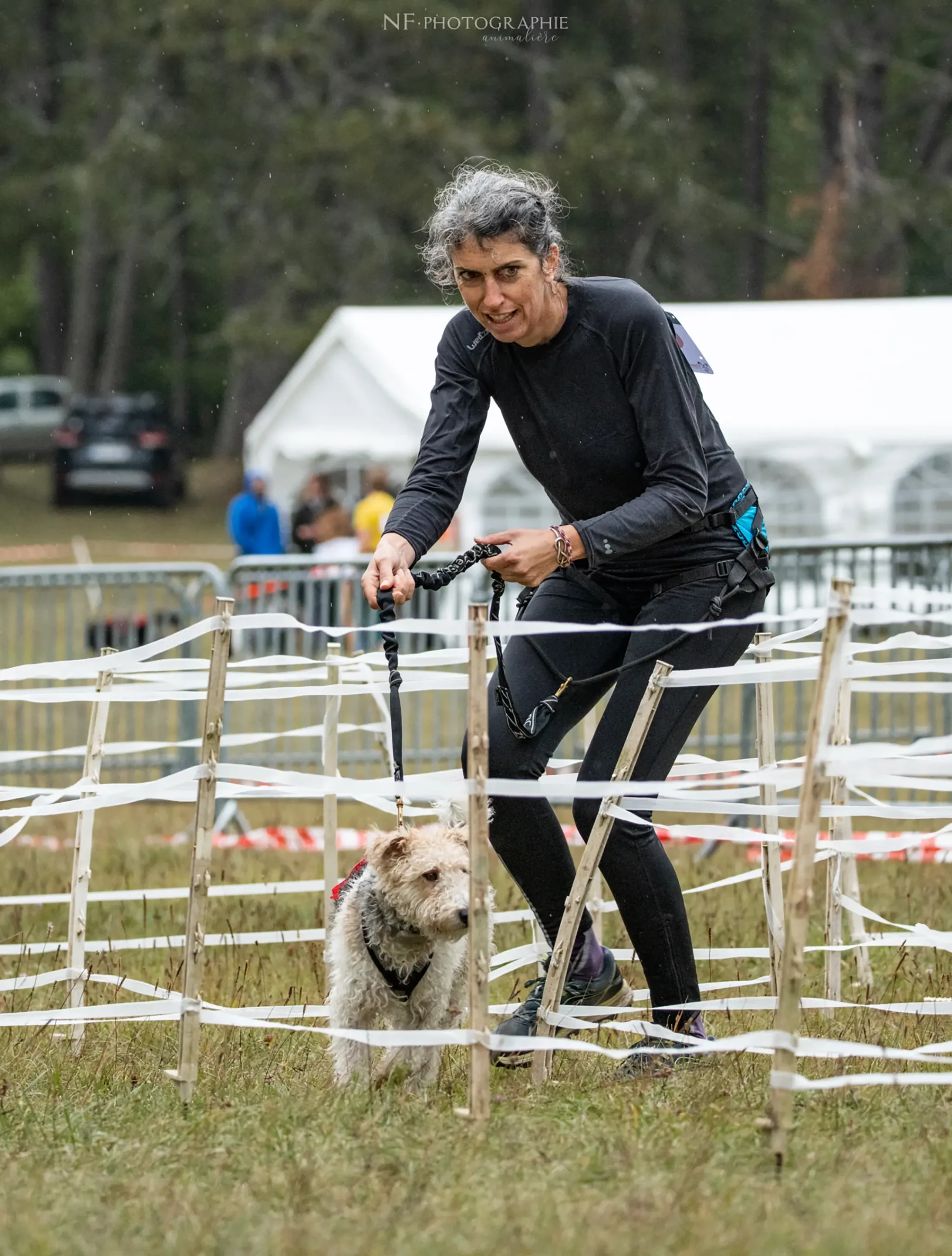 Cani-Parcours - Édition 2024 - Canifun