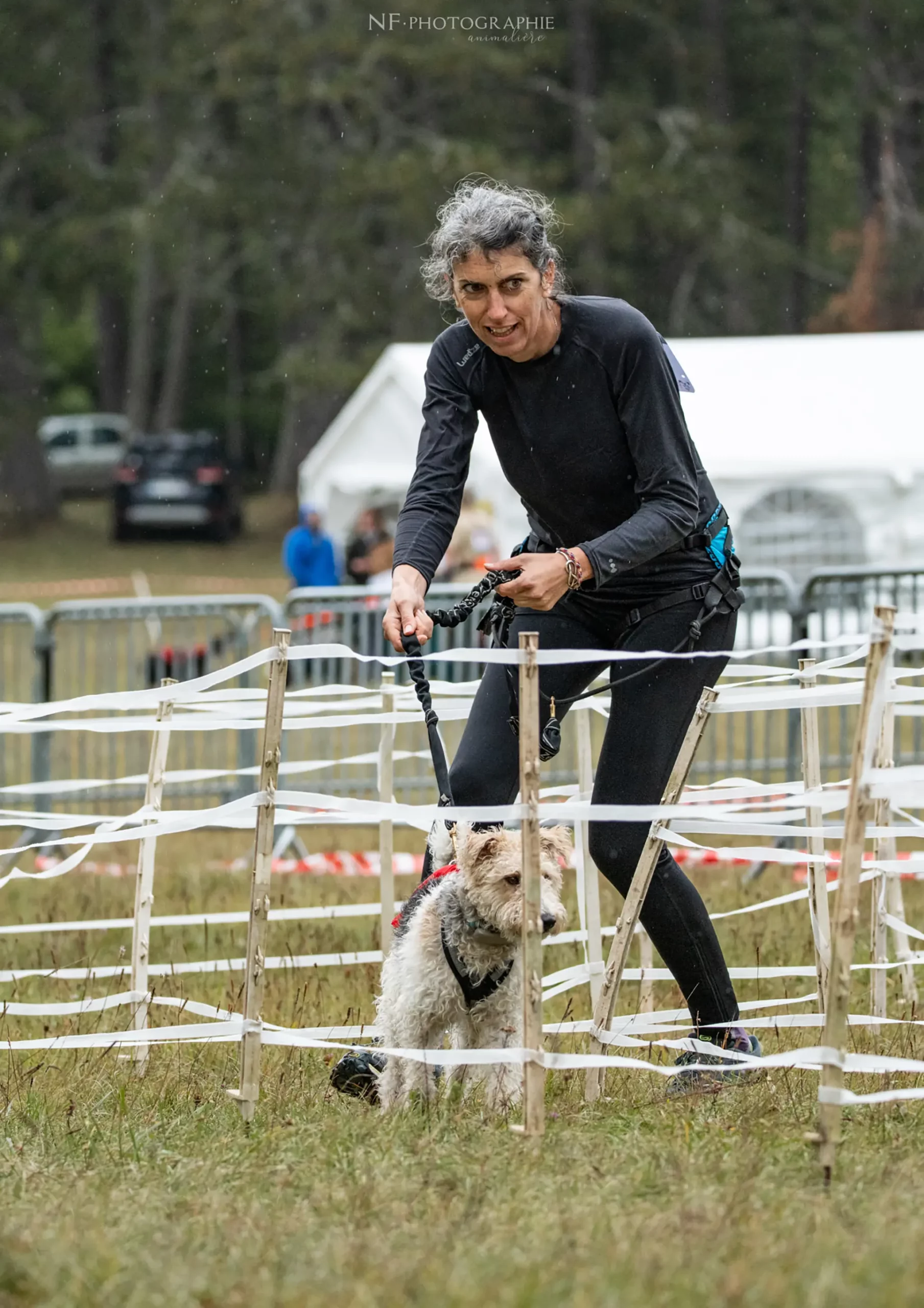 Cani-Parcours - Édition 2024 - Canifun