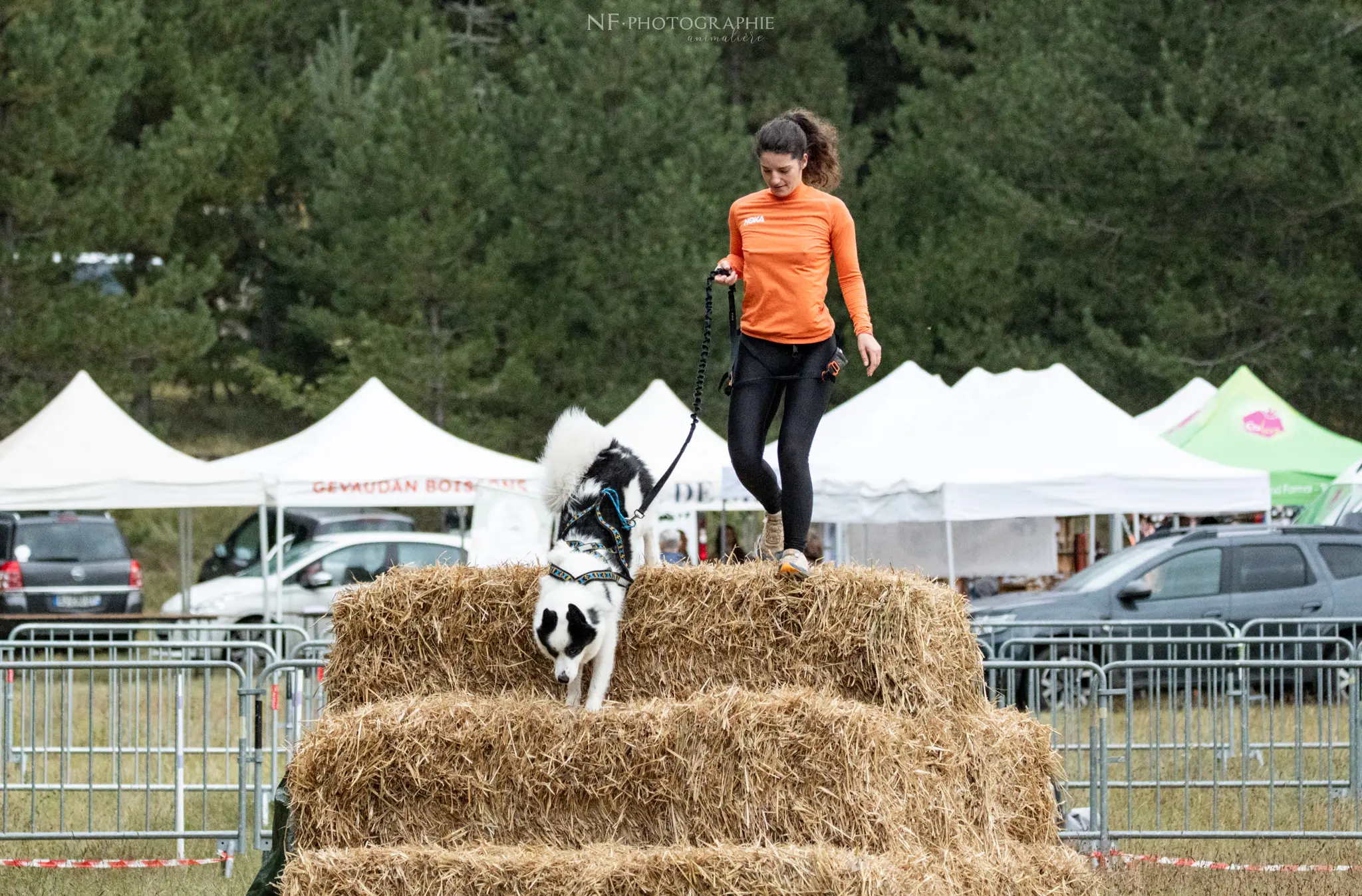 Cani-Parcours - Édition 2024 - Canifun