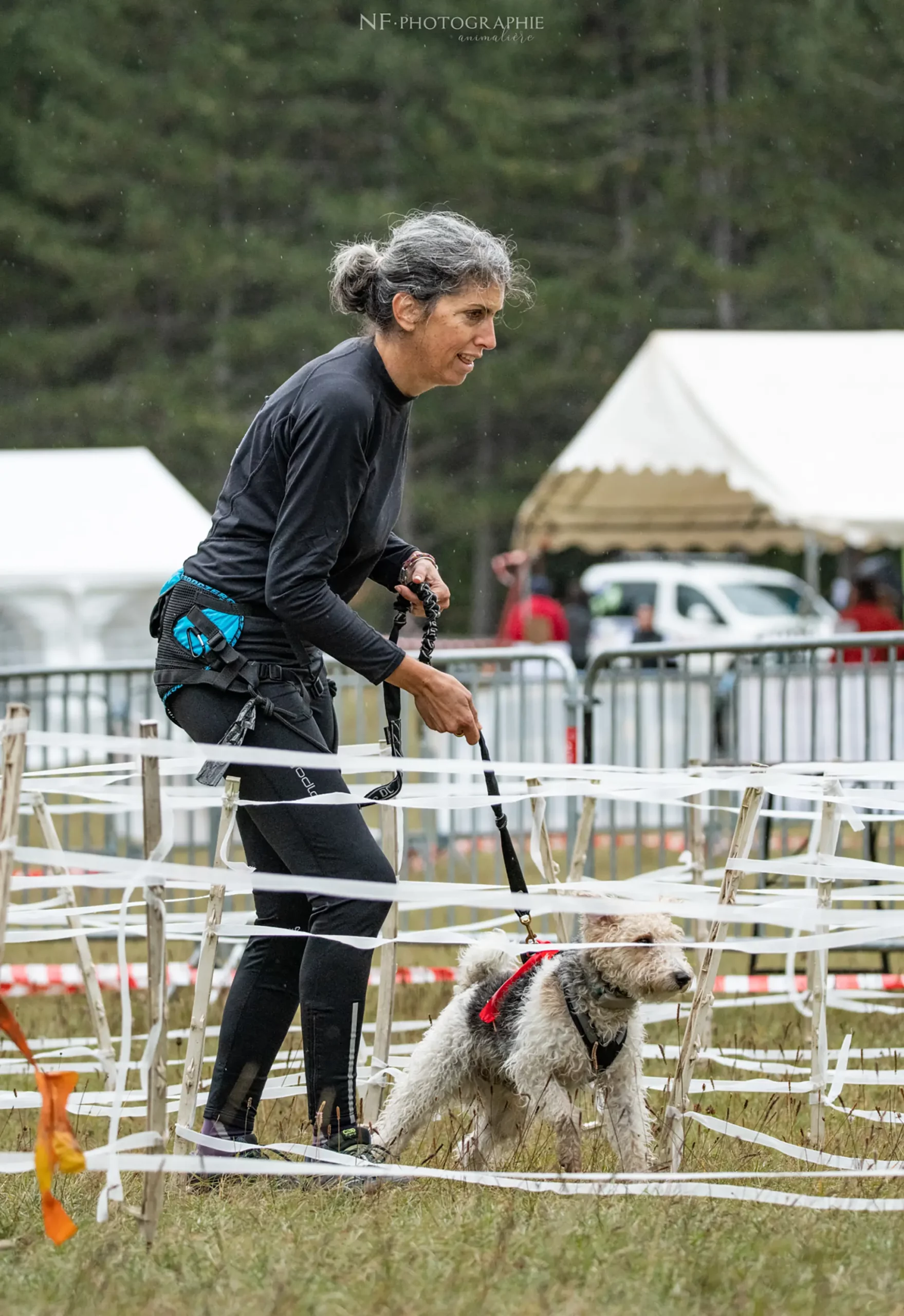 Cani-Parcours - Édition 2024 - Canifun