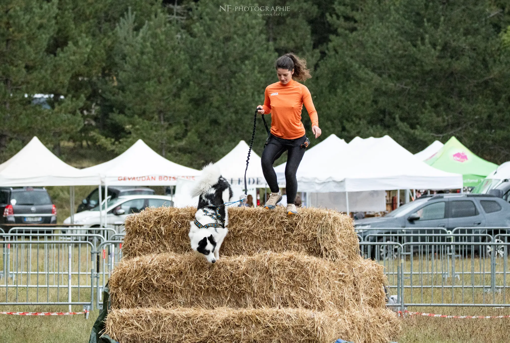 Cani-Parcours - Édition 2024 - Canifun