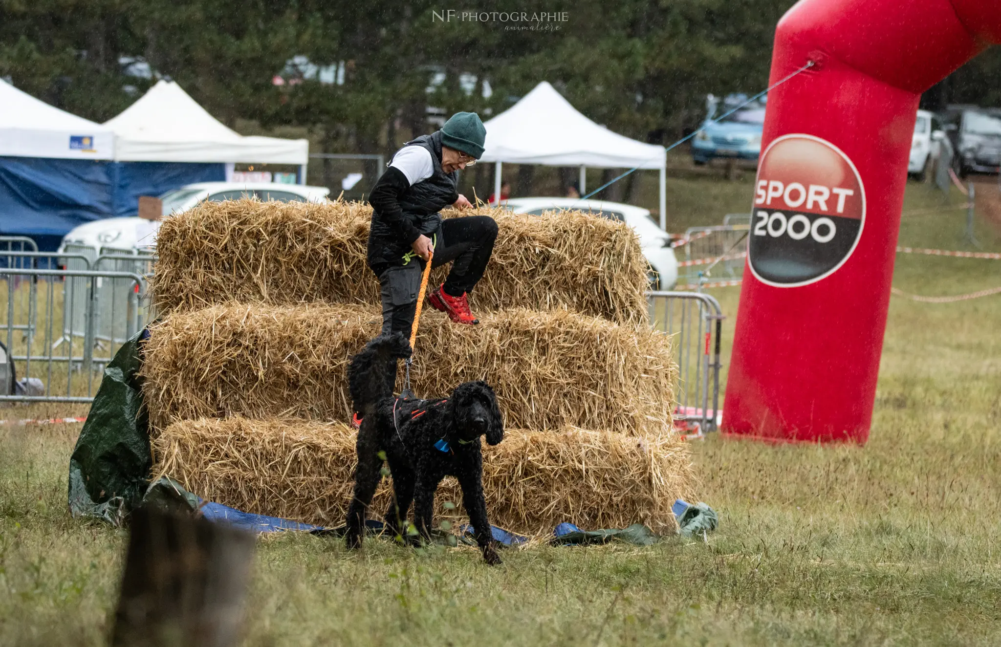 Cani-Parcours - Édition 2024 - Canifun