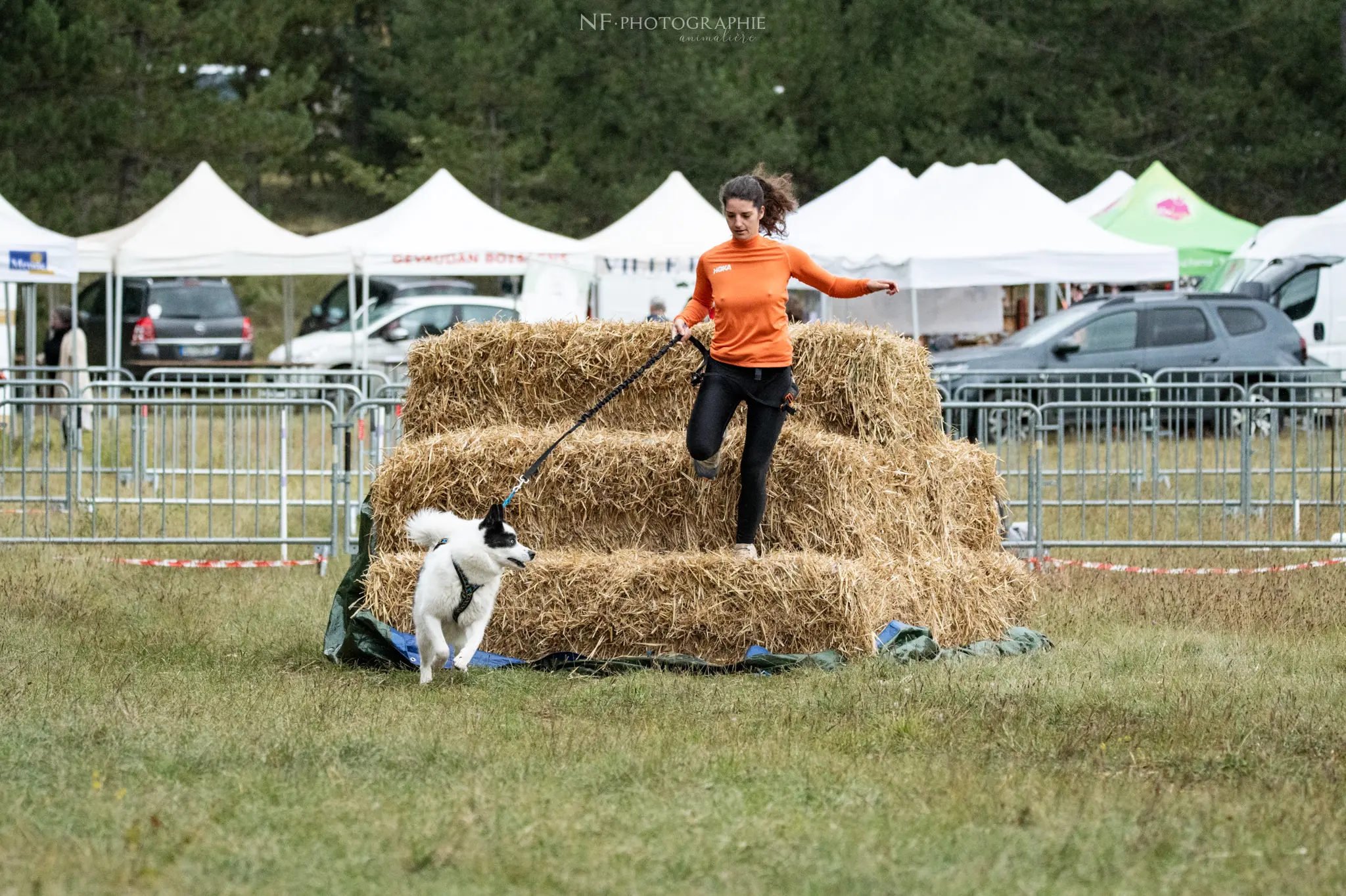 Cani-Parcours - Édition 2024 - Canifun