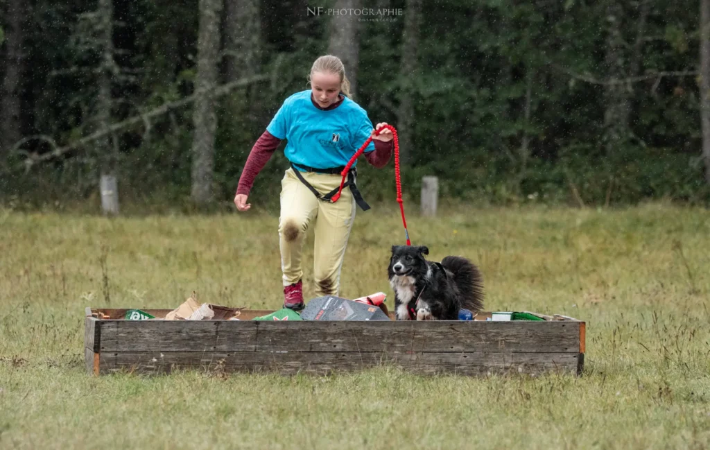 Cani-Parcours - Édition 2024 - Canifun