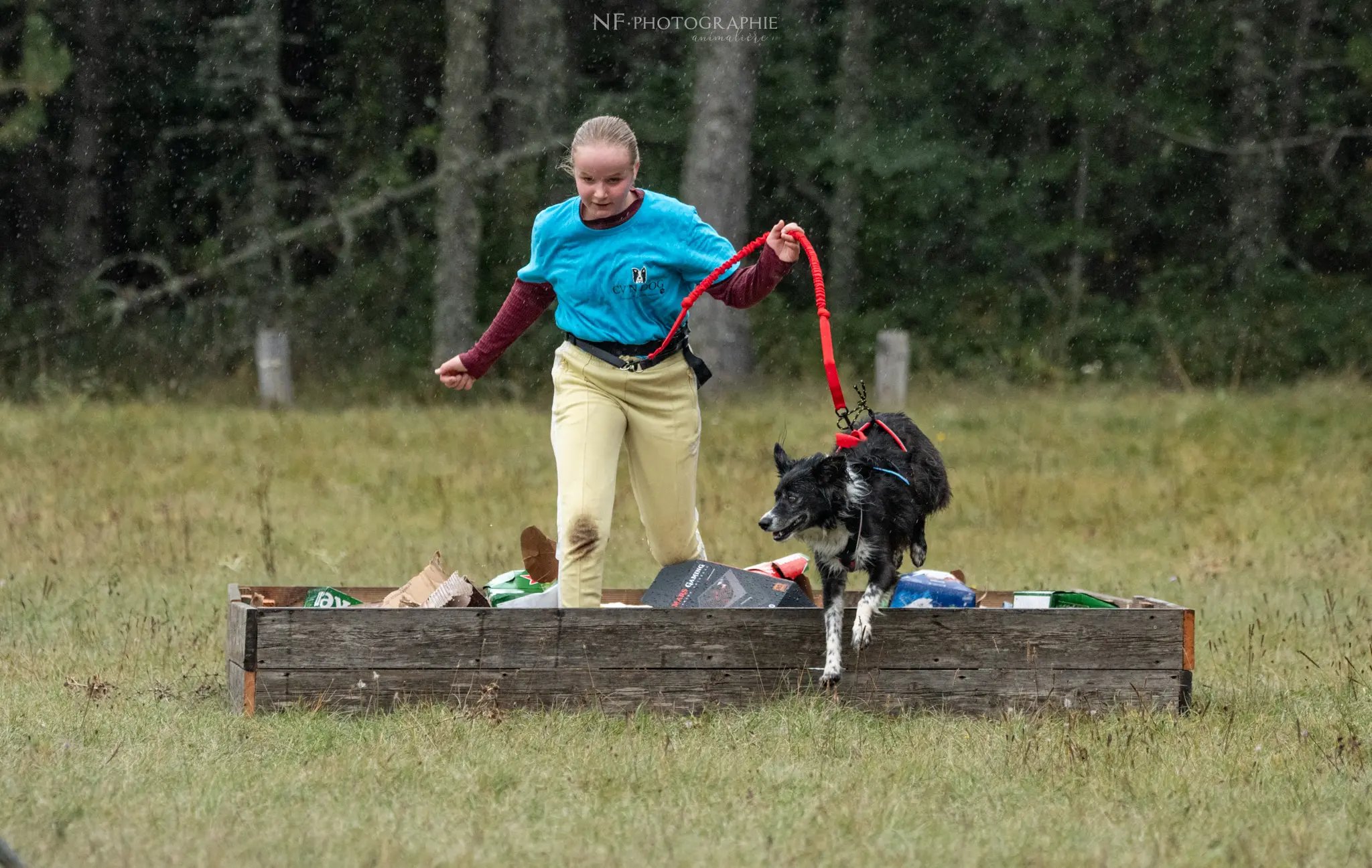 Cani-Parcours - Édition 2024 - Canifun